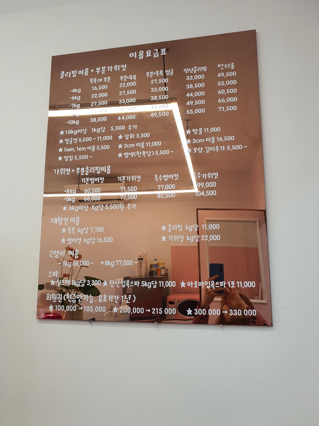 몽냥몽냥