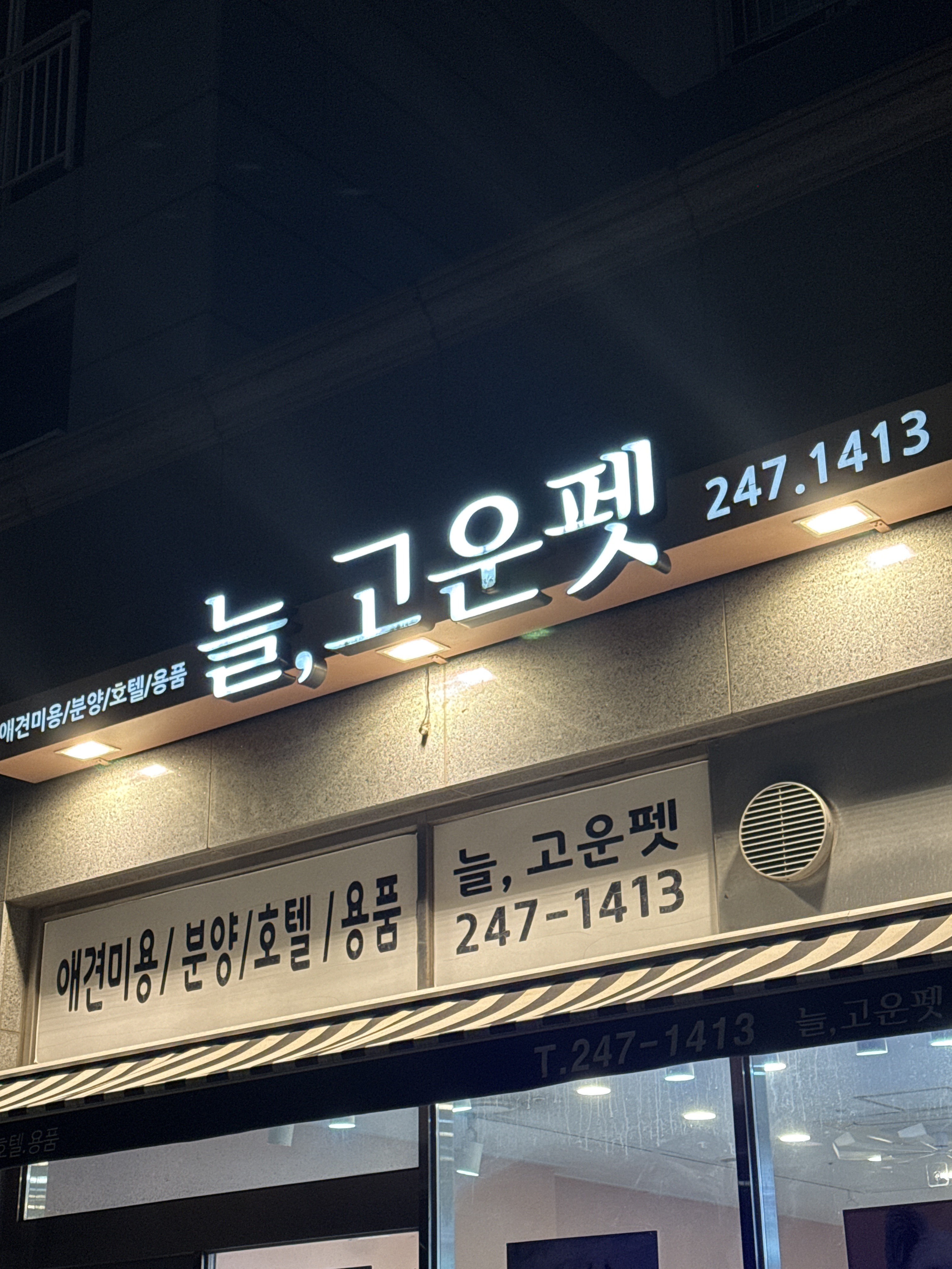 늘, 고운펫
