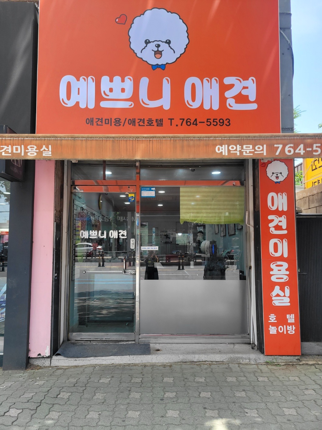예쁘니애견
