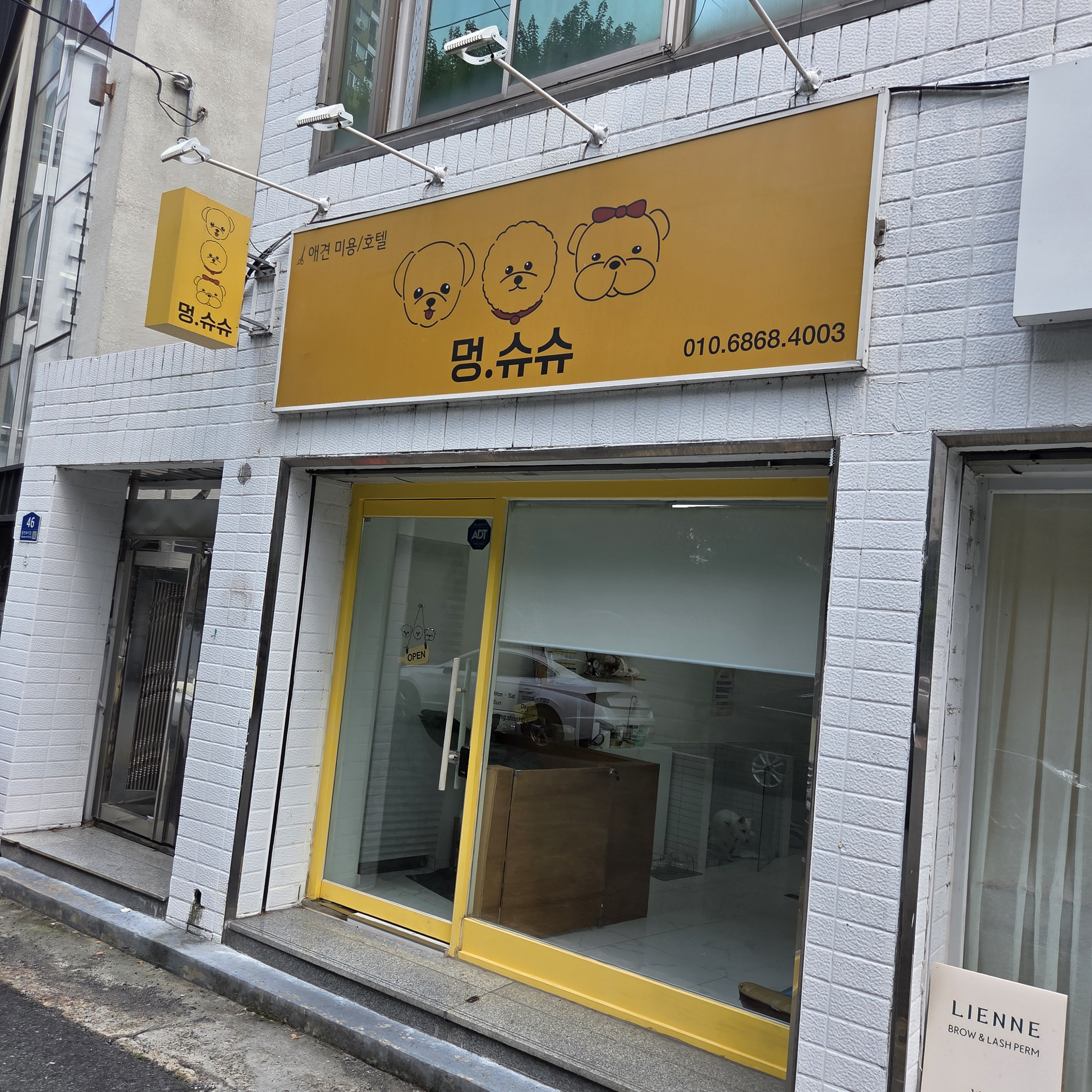 멍.슈슈