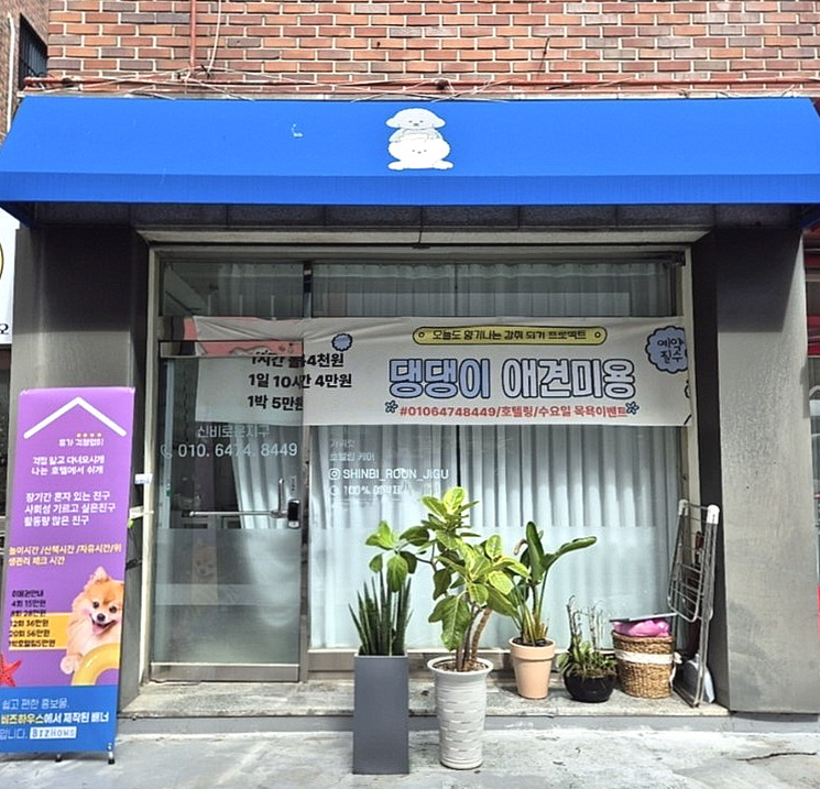 신비로운 지구