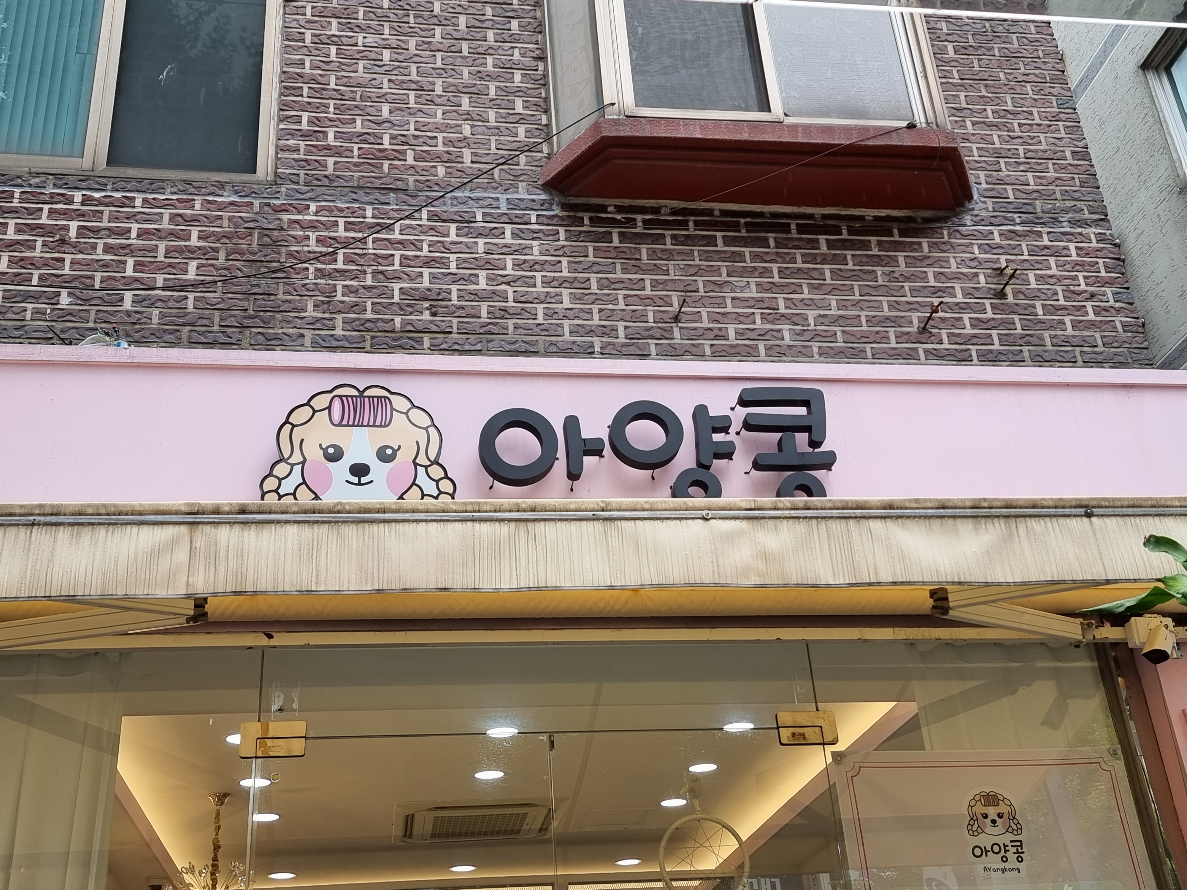 아양콩