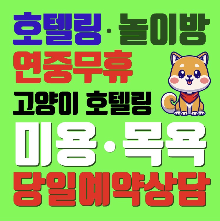 뽀독
