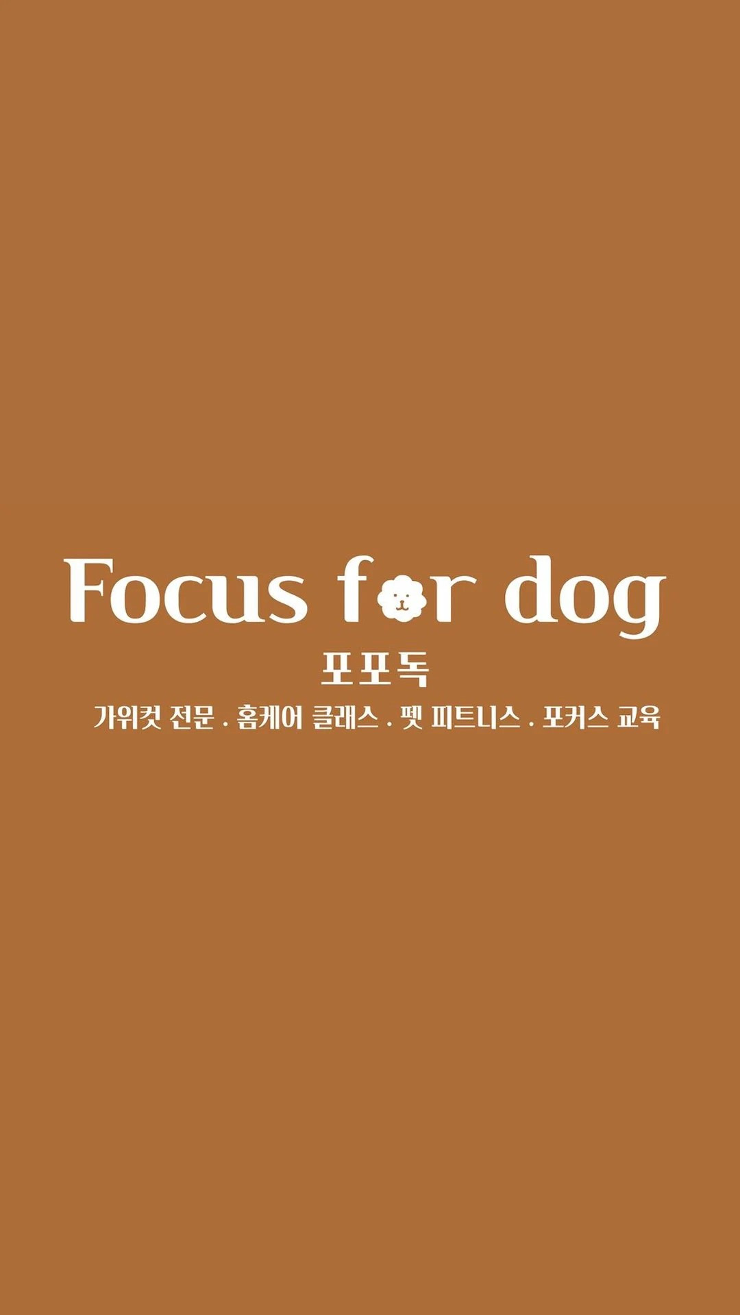 포포독 (Focus for dog)