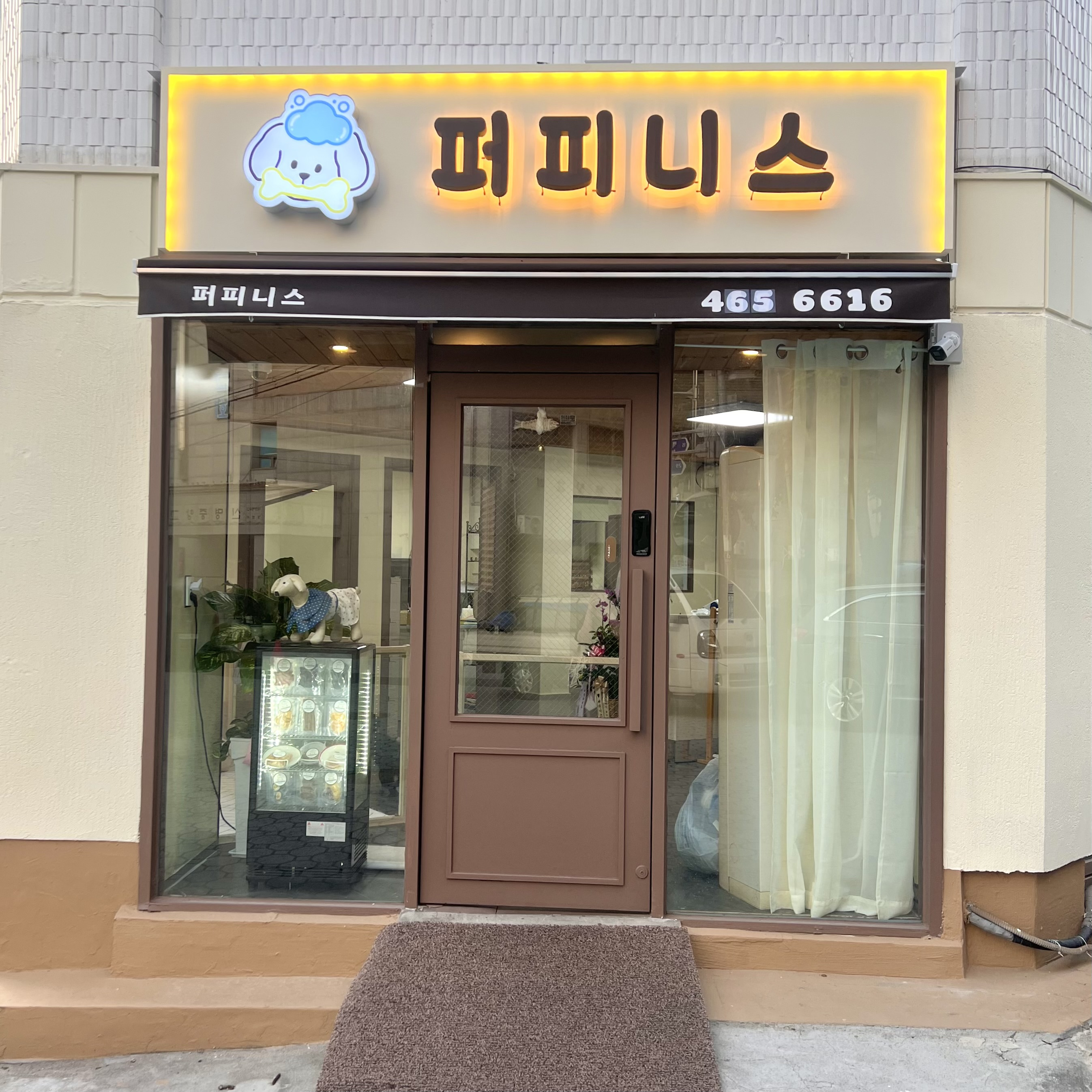 퍼피니스