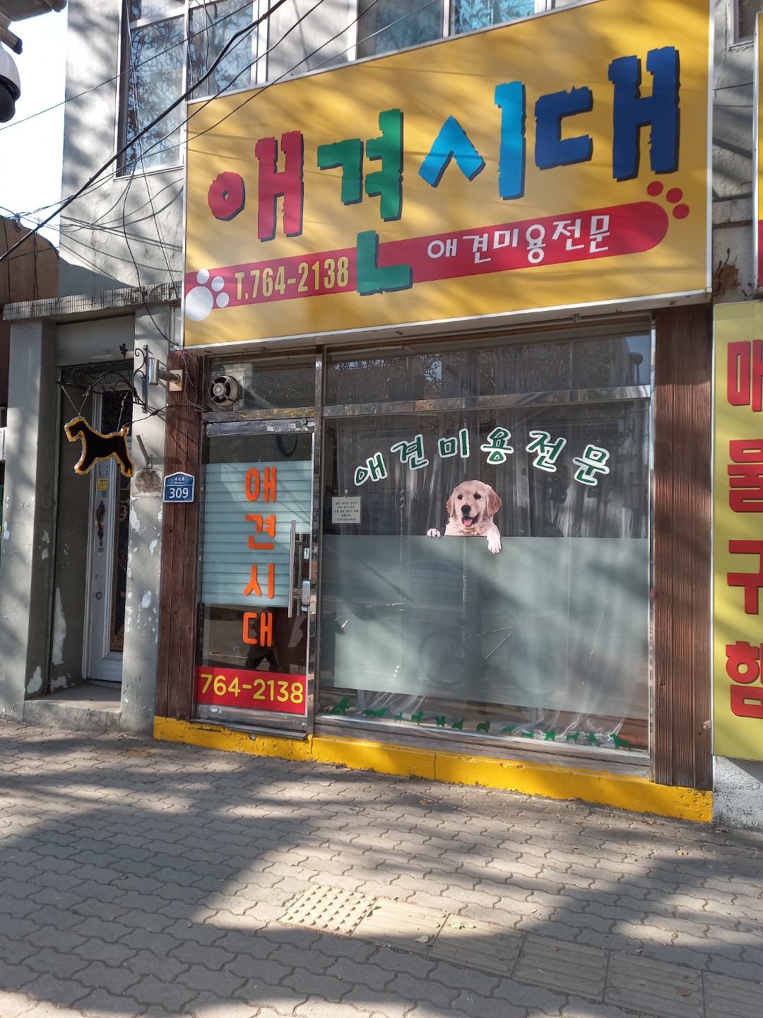 애견시대