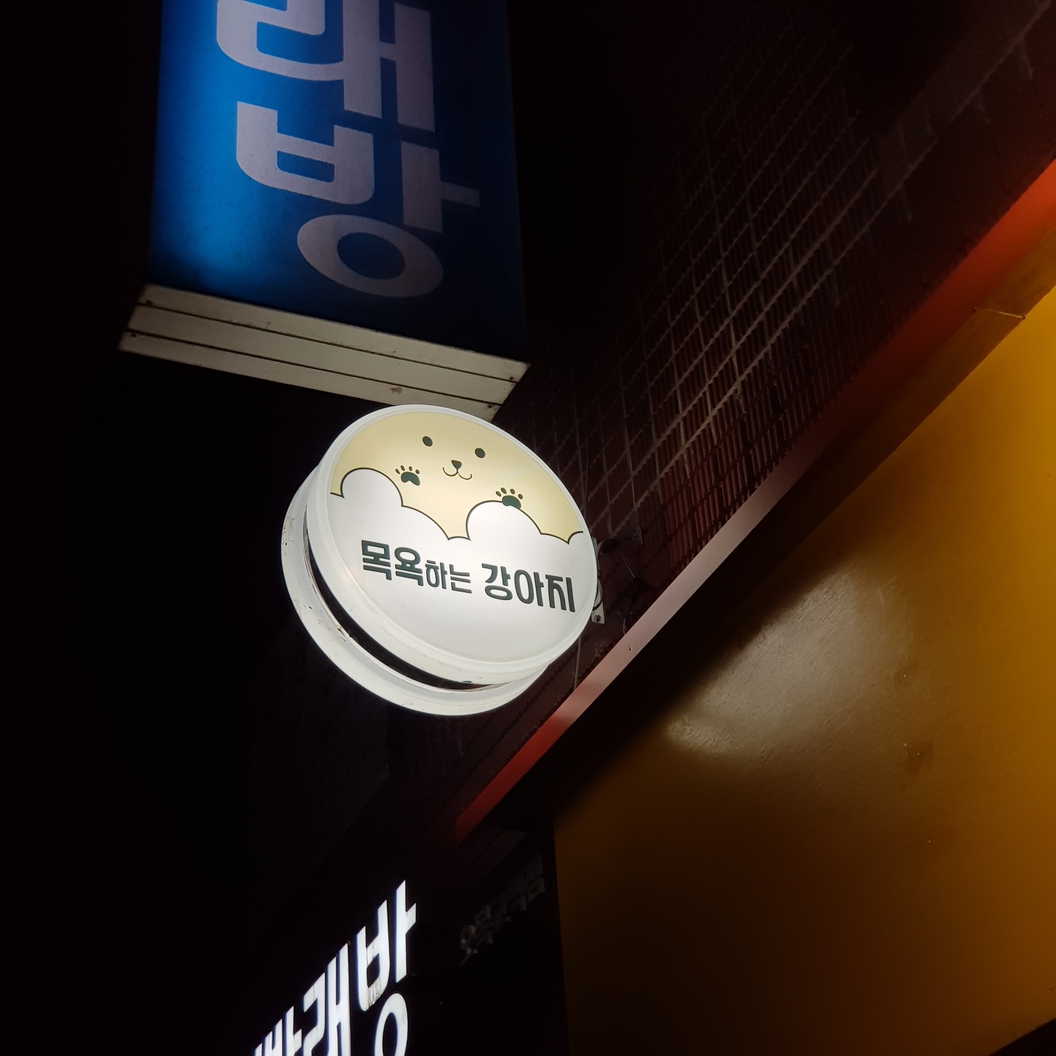 목욕하는 강아지