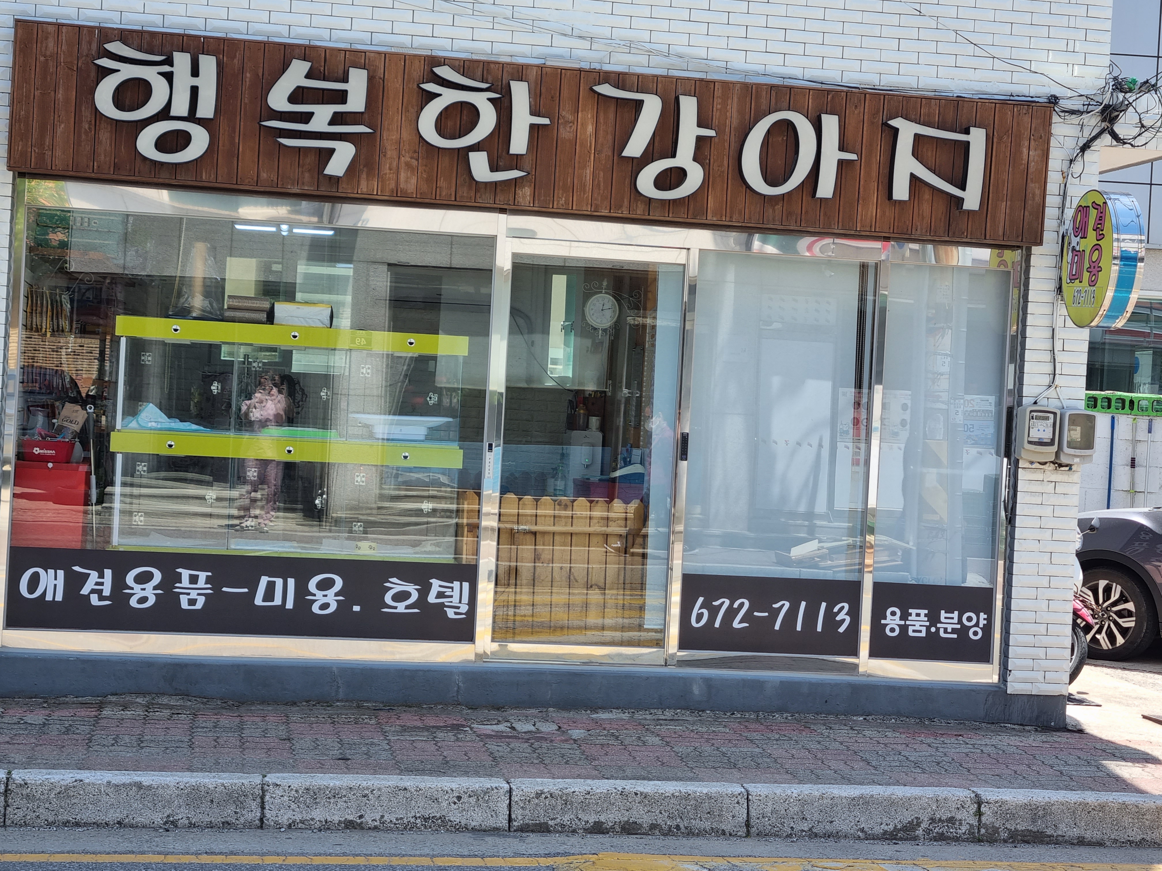 행복한 강아지