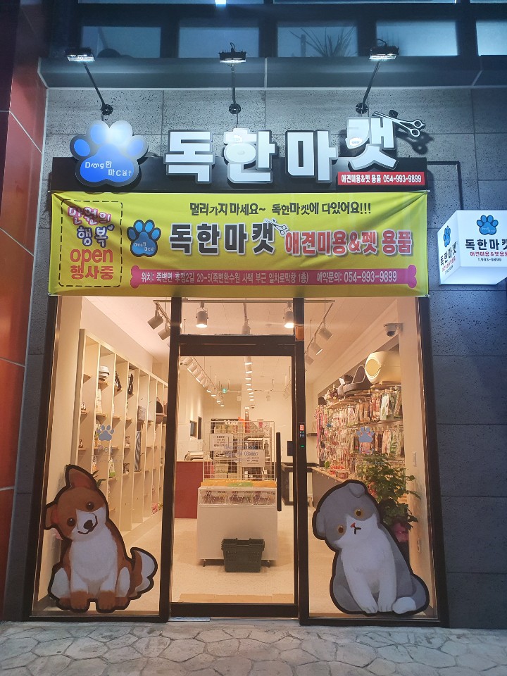 독한마캣