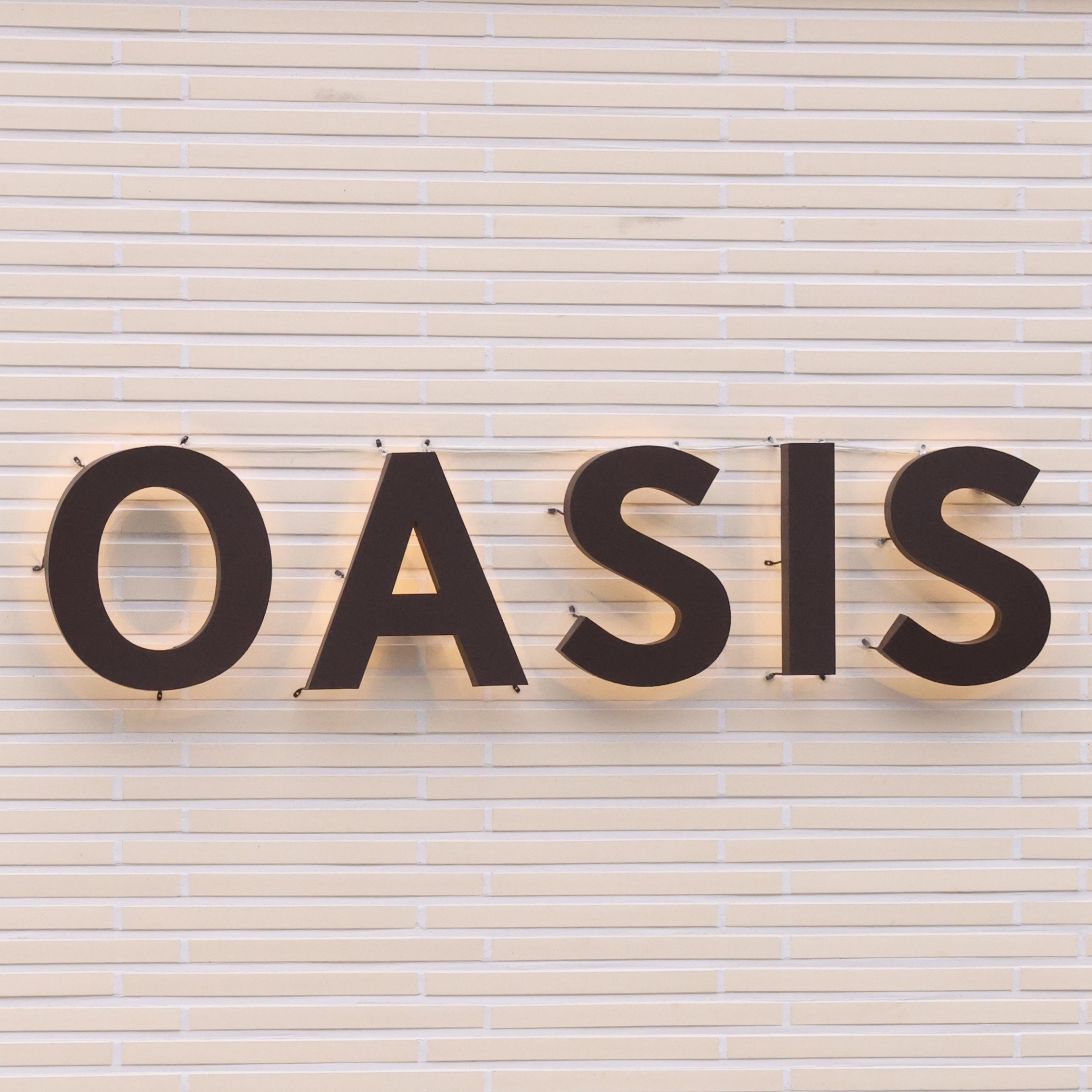 오아시스 이미지