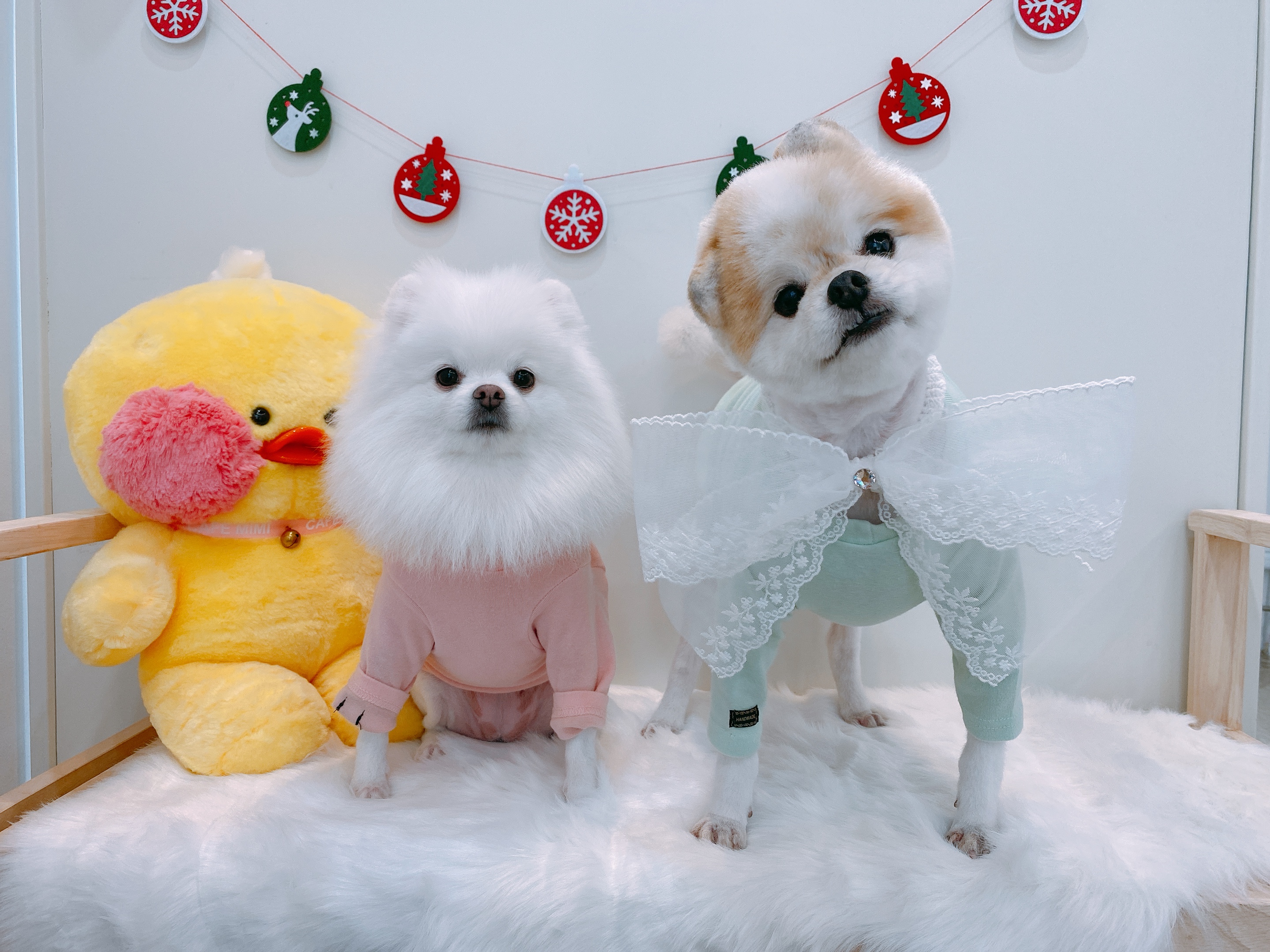 멍블리
