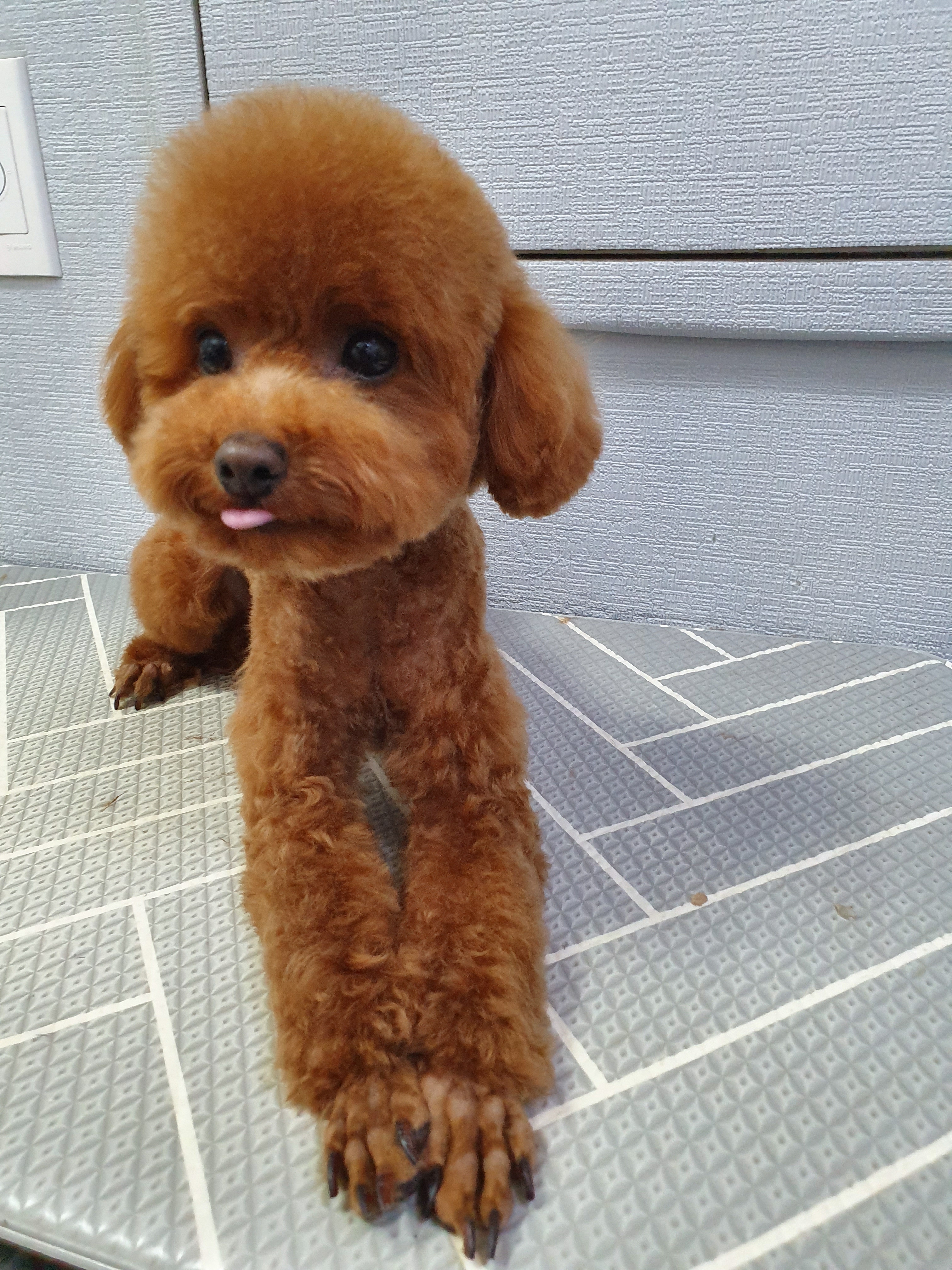 멋지개