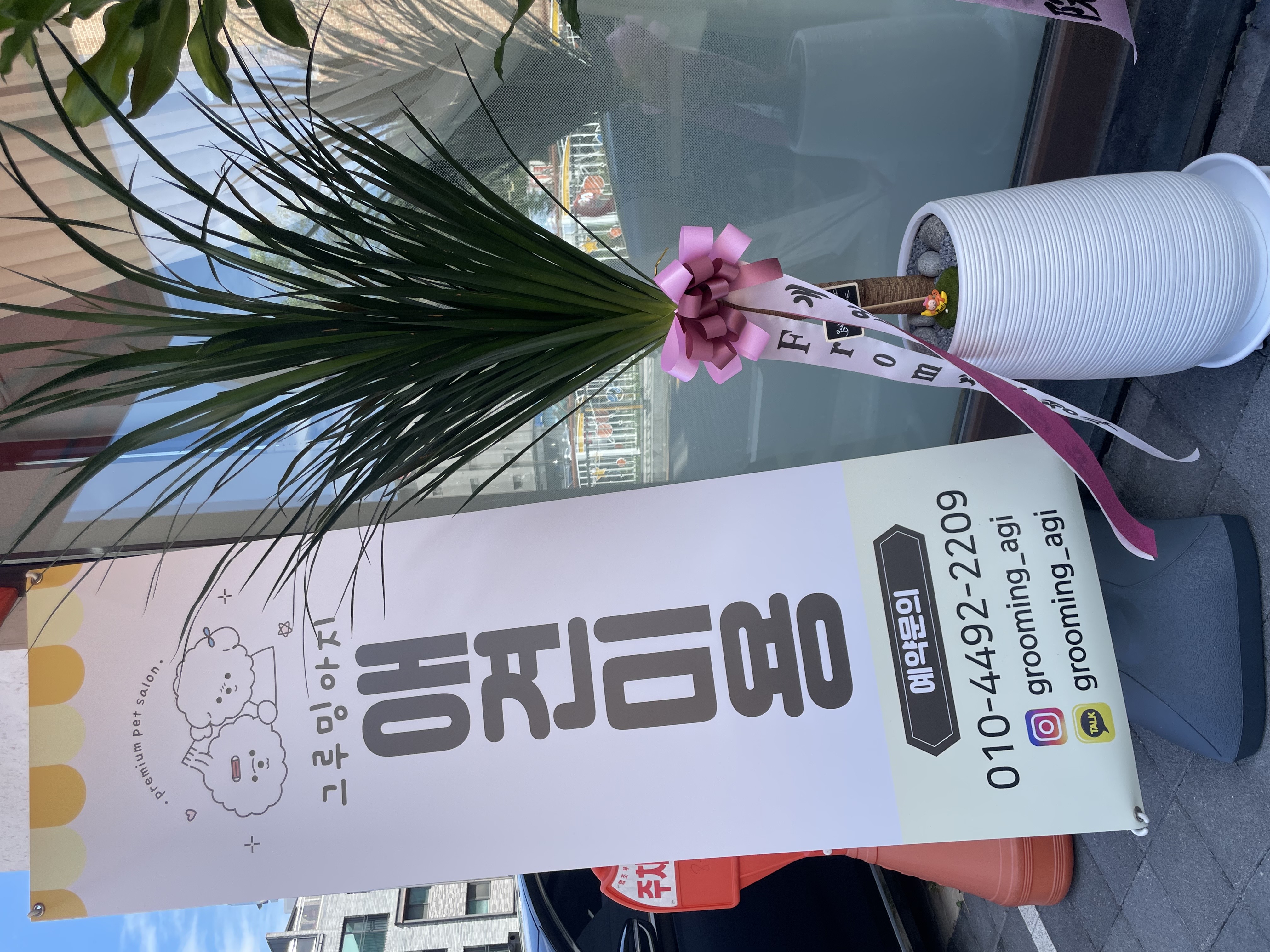 그루밍아지