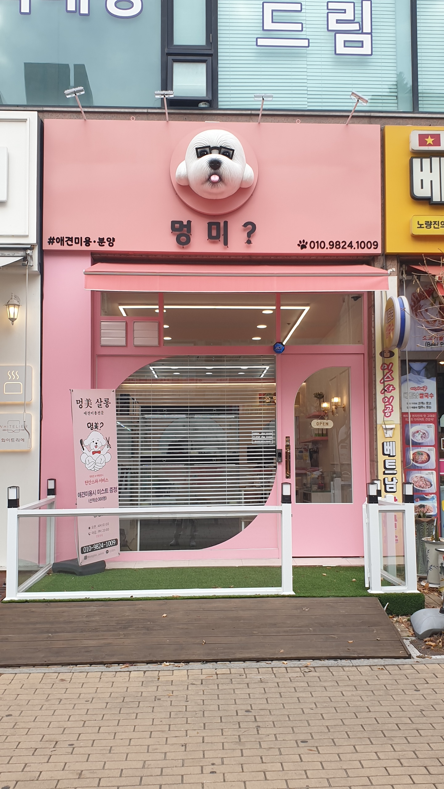 부천애견미용 멍미살롱