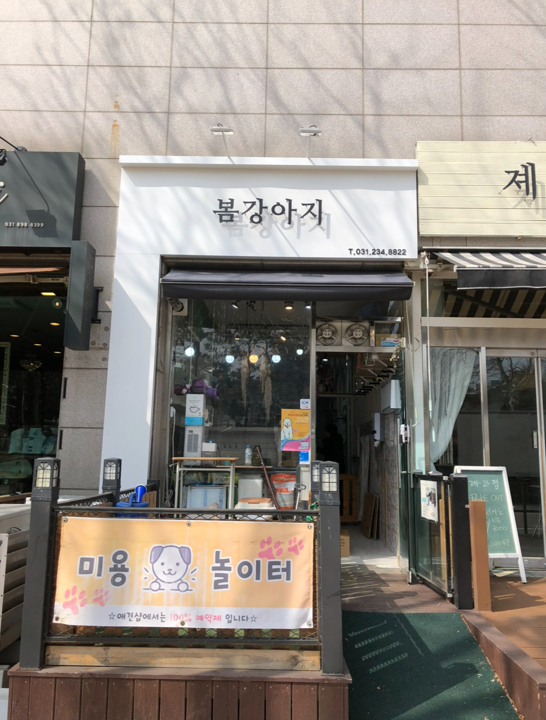 봄강아지