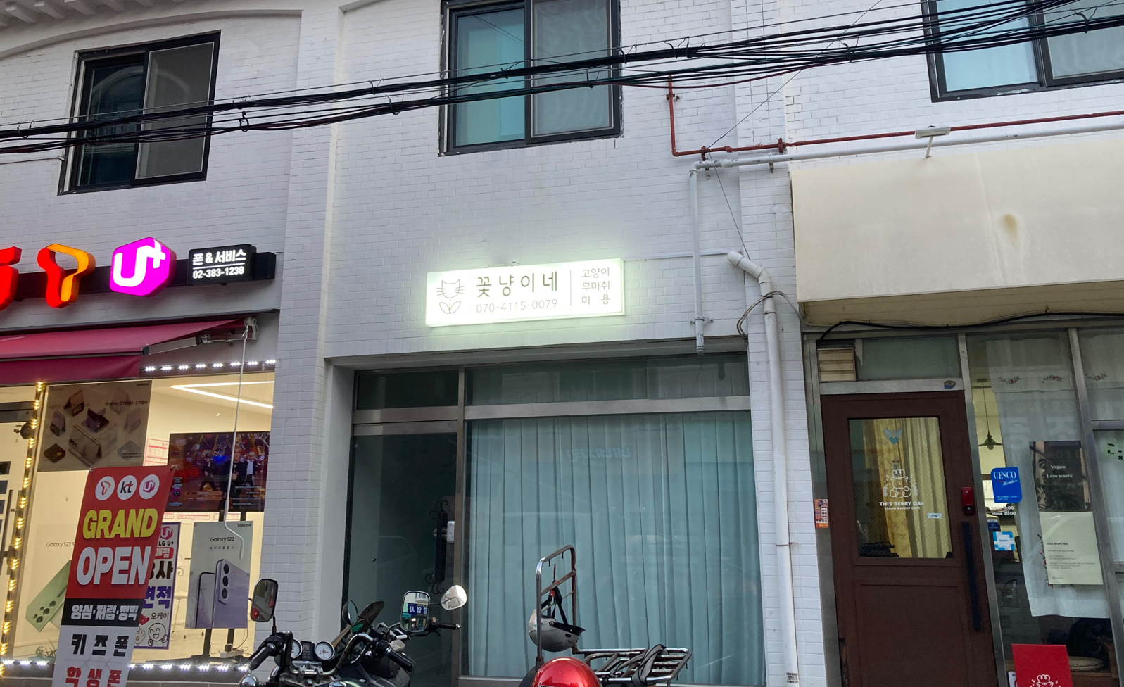 꽃냥이네