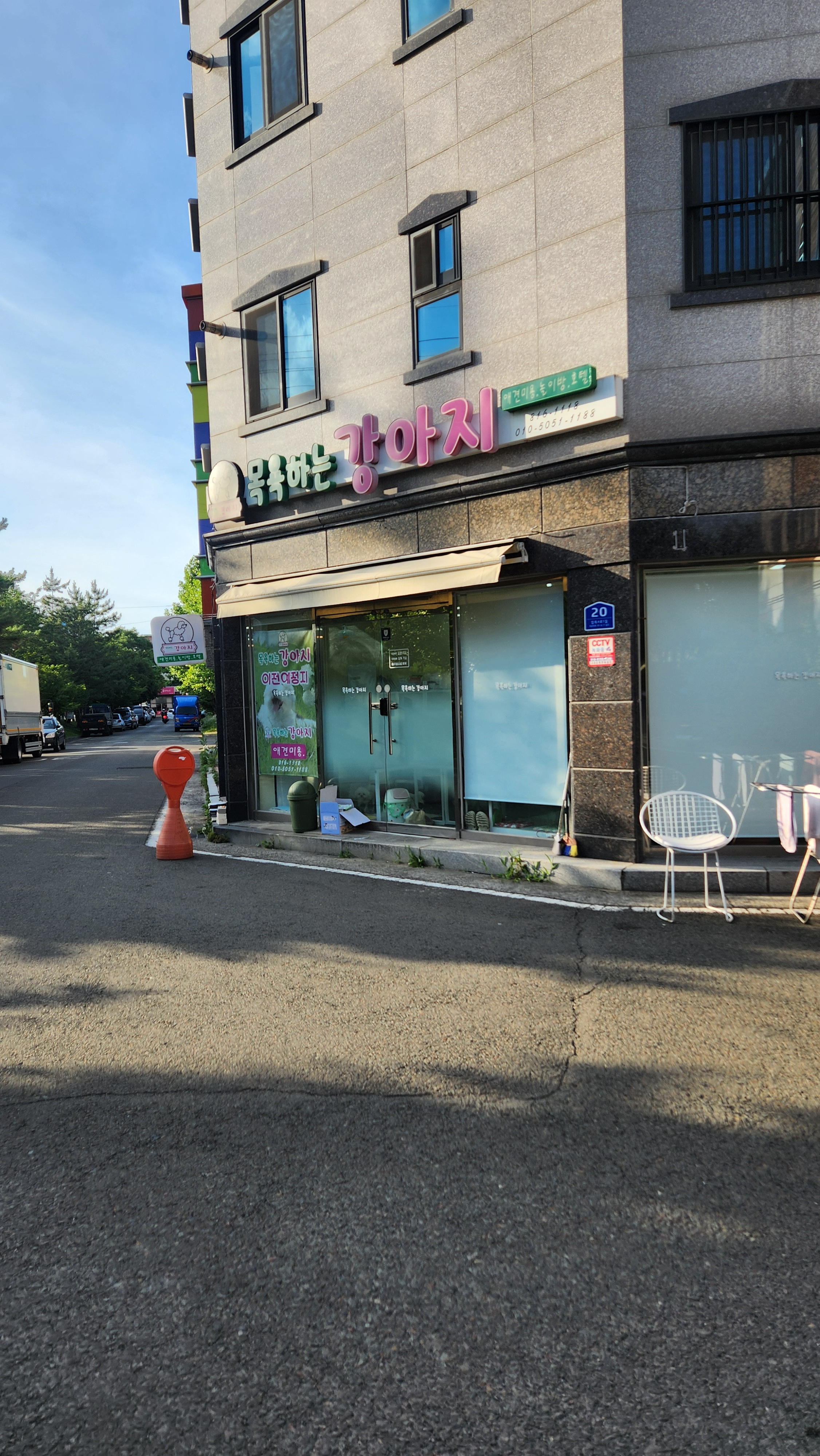 목욕하는 강아지
