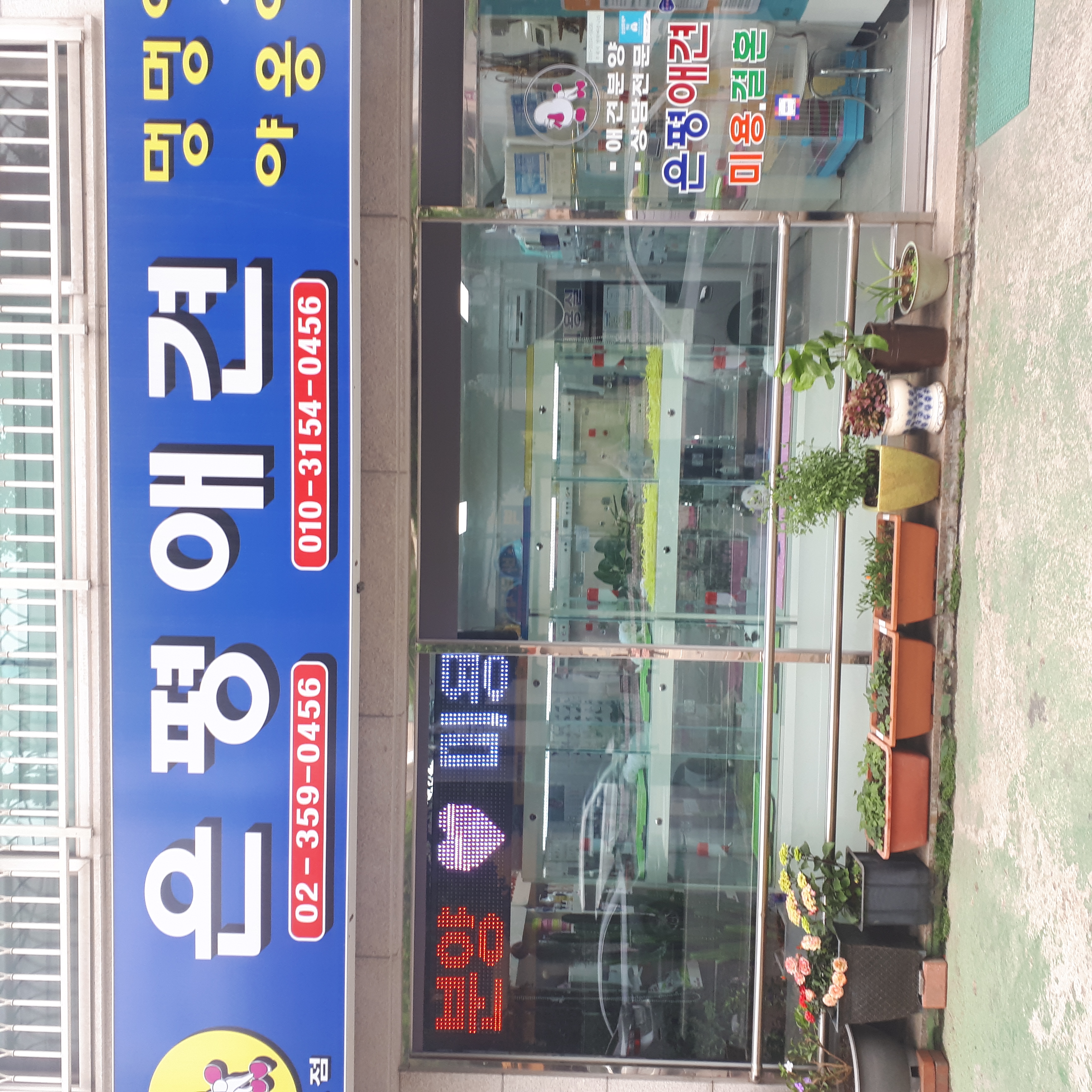 은평애견