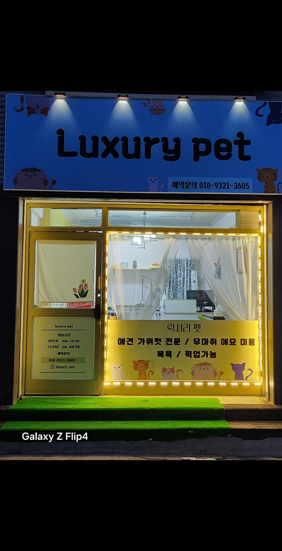 럭셔리 펫