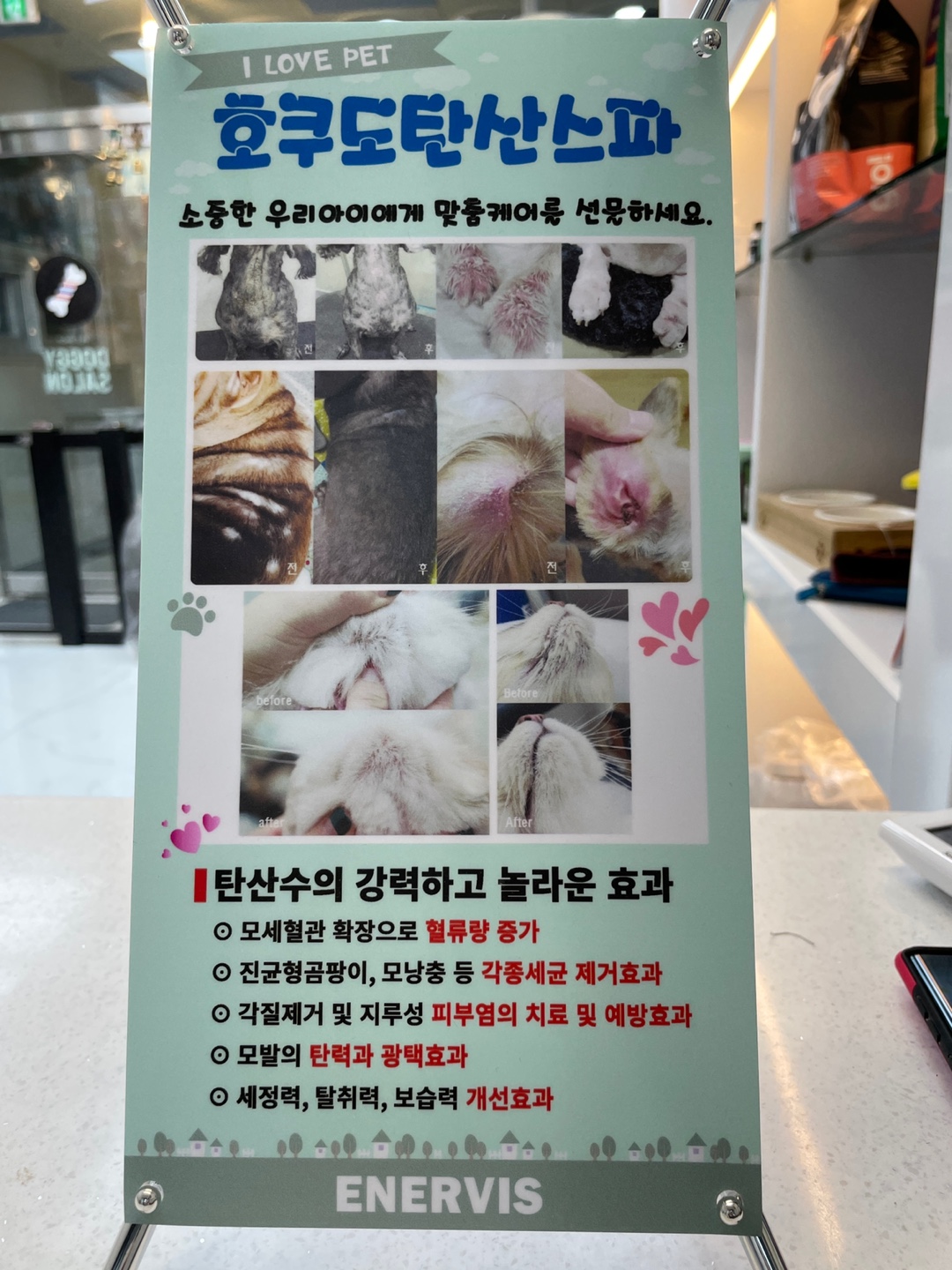 도기살롱