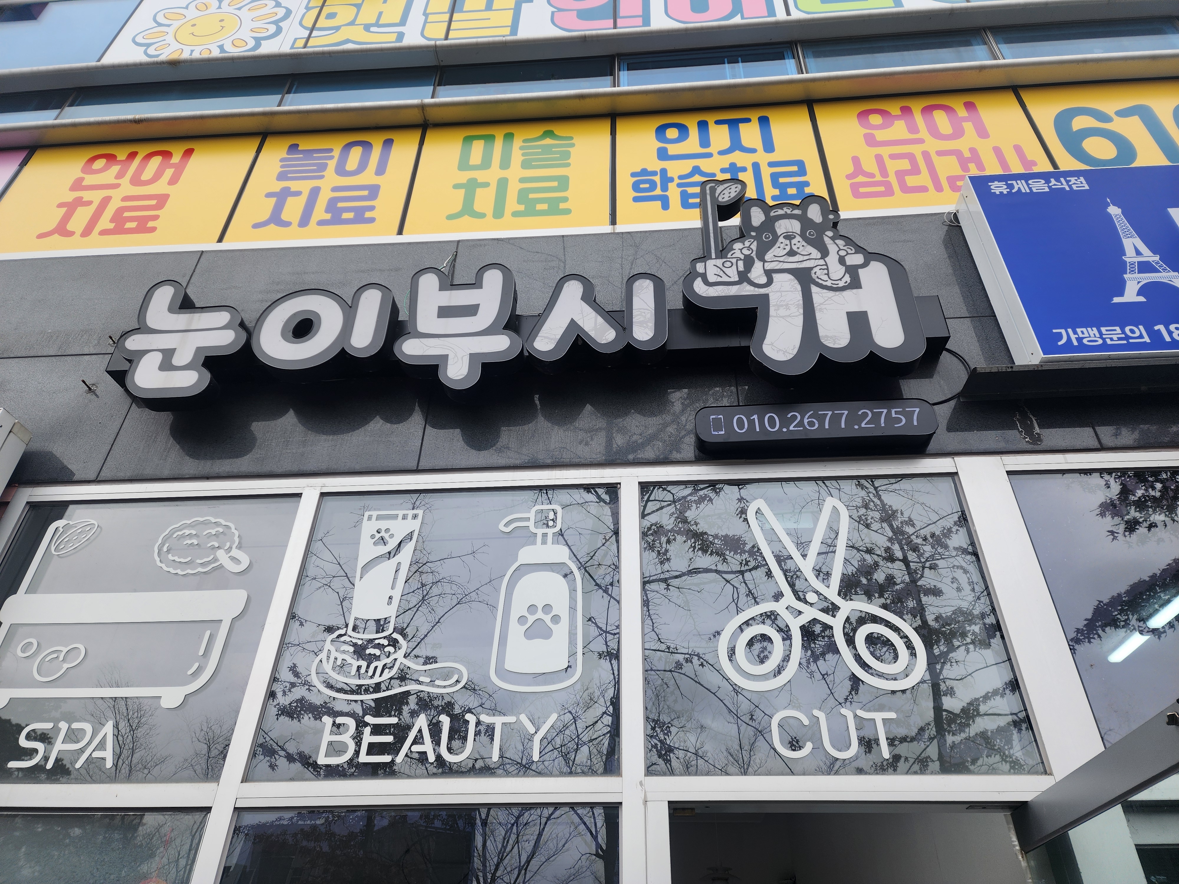 눈이부시개