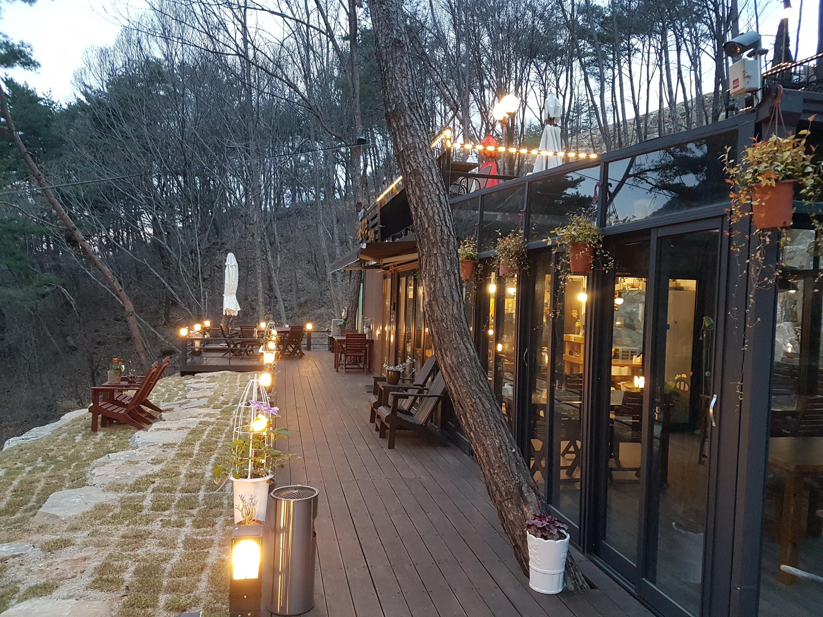 소나무정원화덕피자 이미지