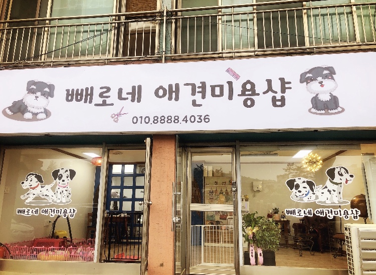 빼로네 애견미용샵