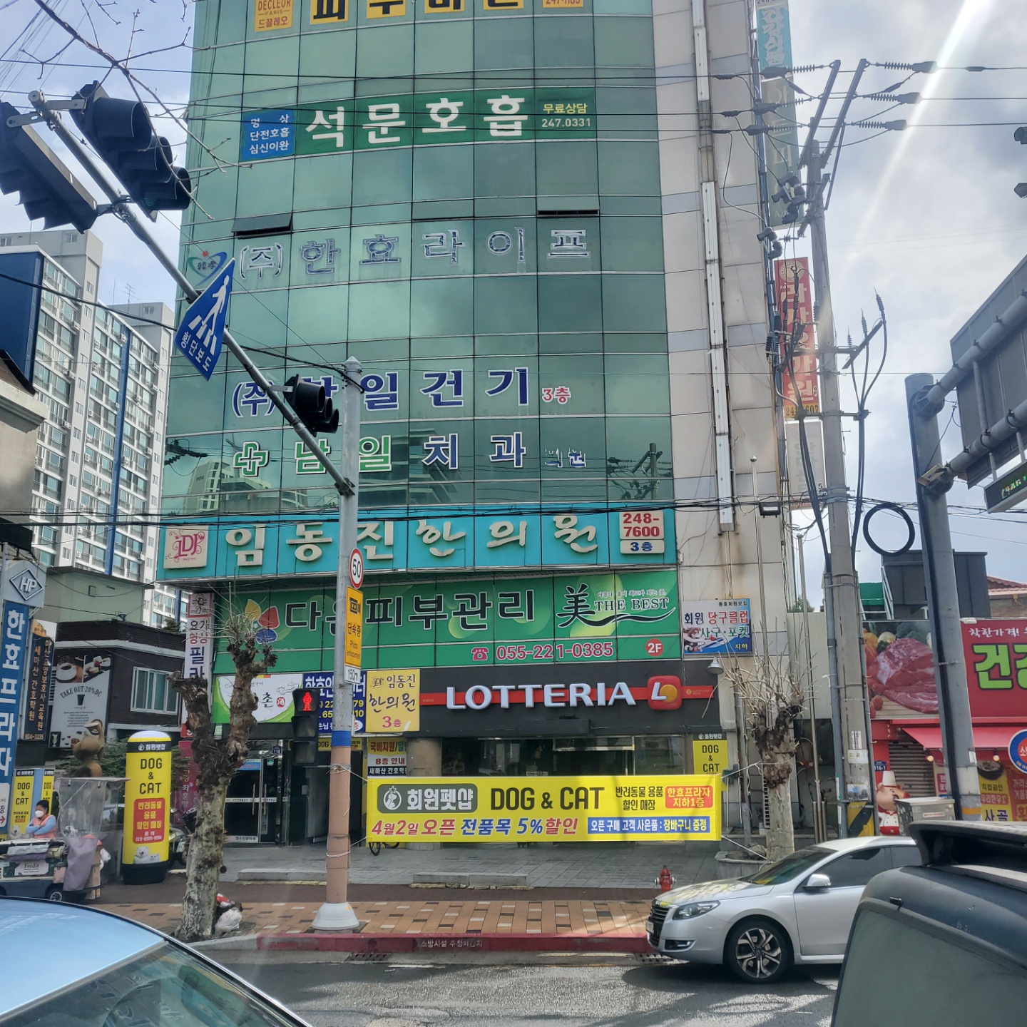 회원펫