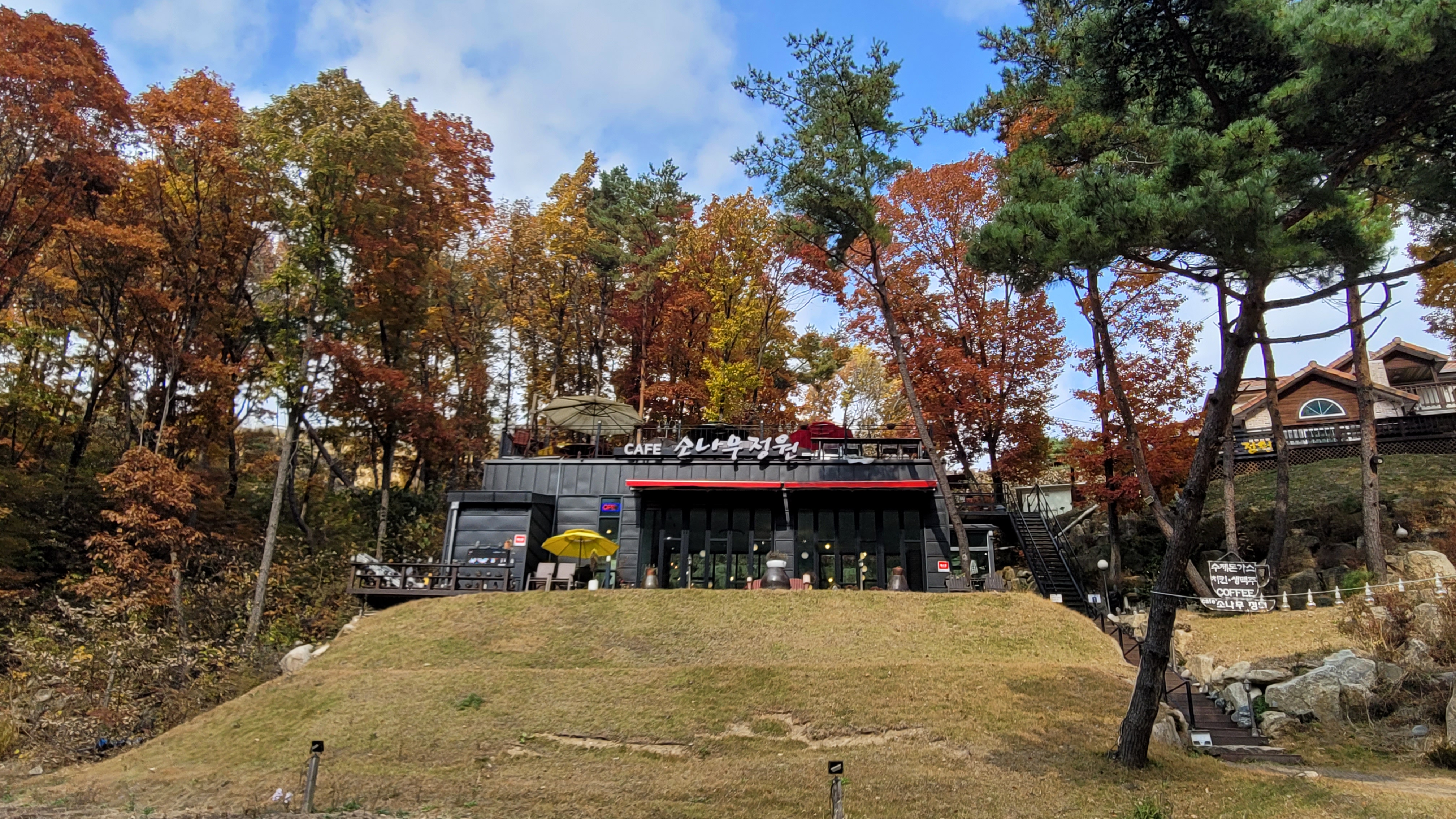 소나무정원화덕피자 이미지