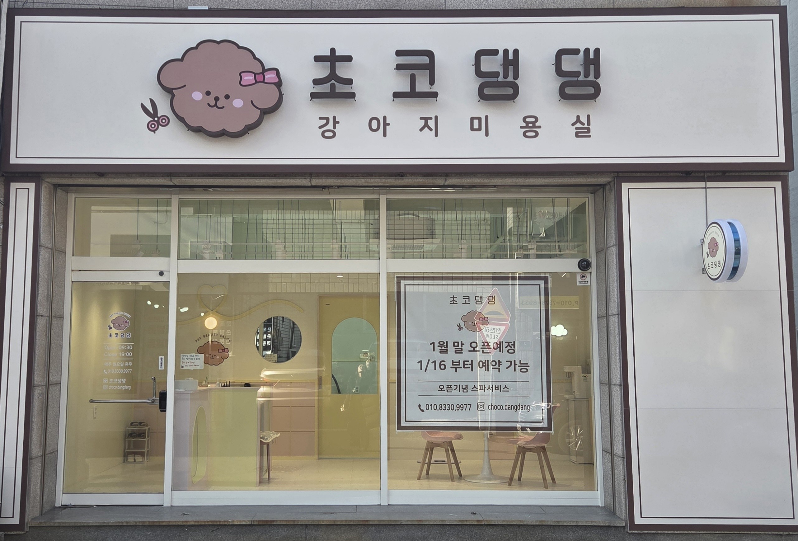 초코댕댕