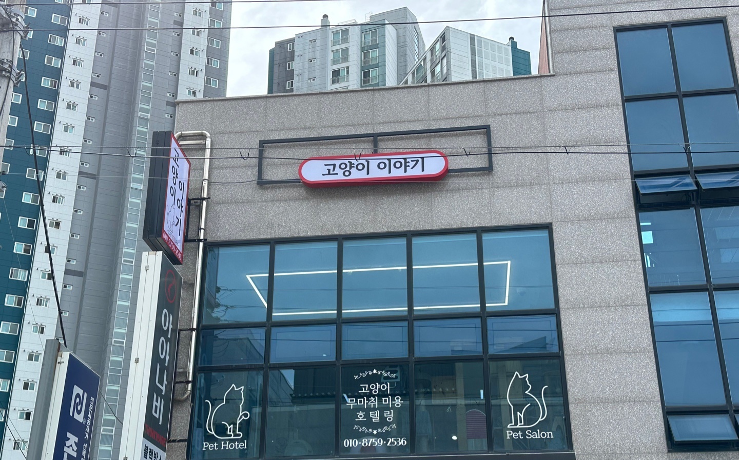 고양이이야기