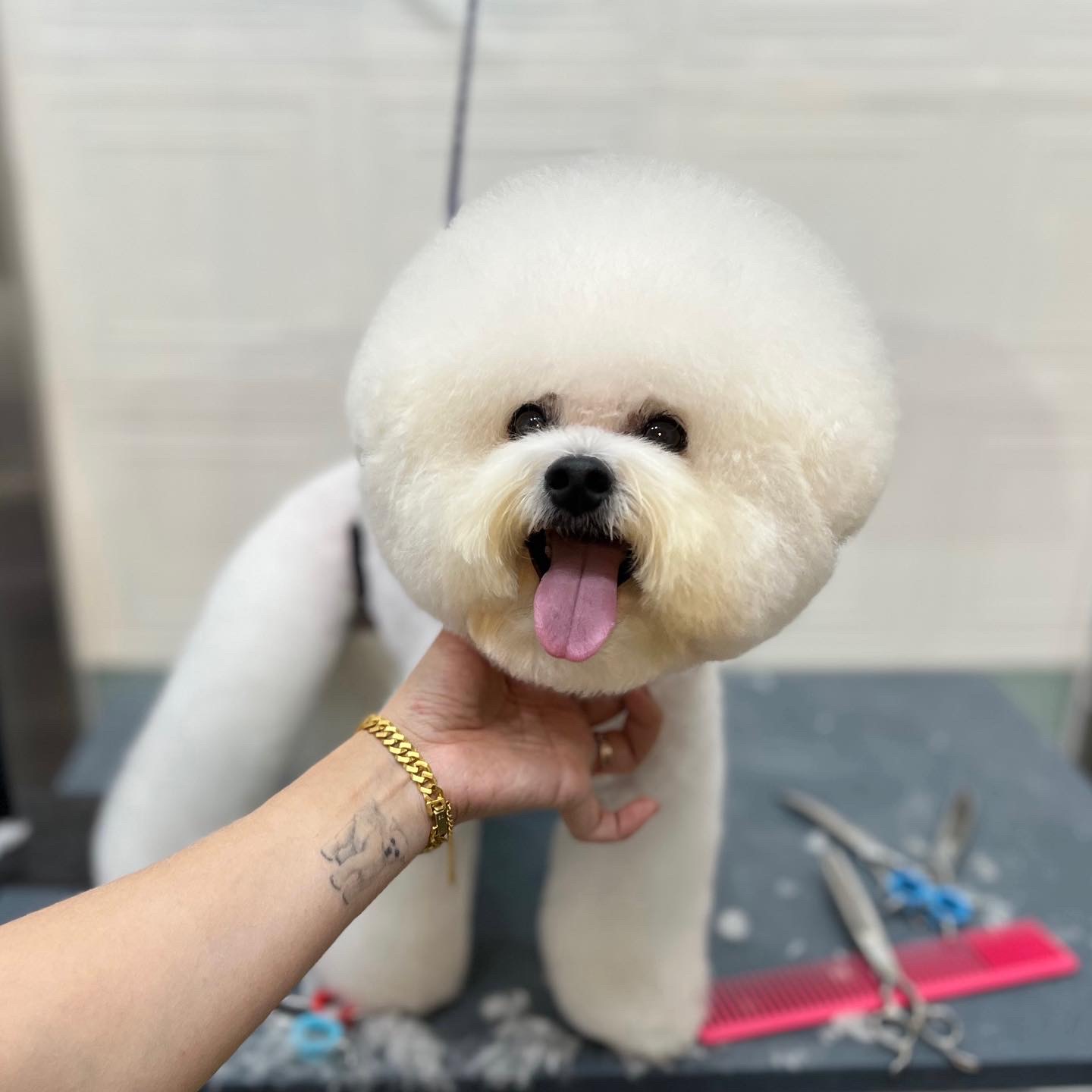 웅살롱