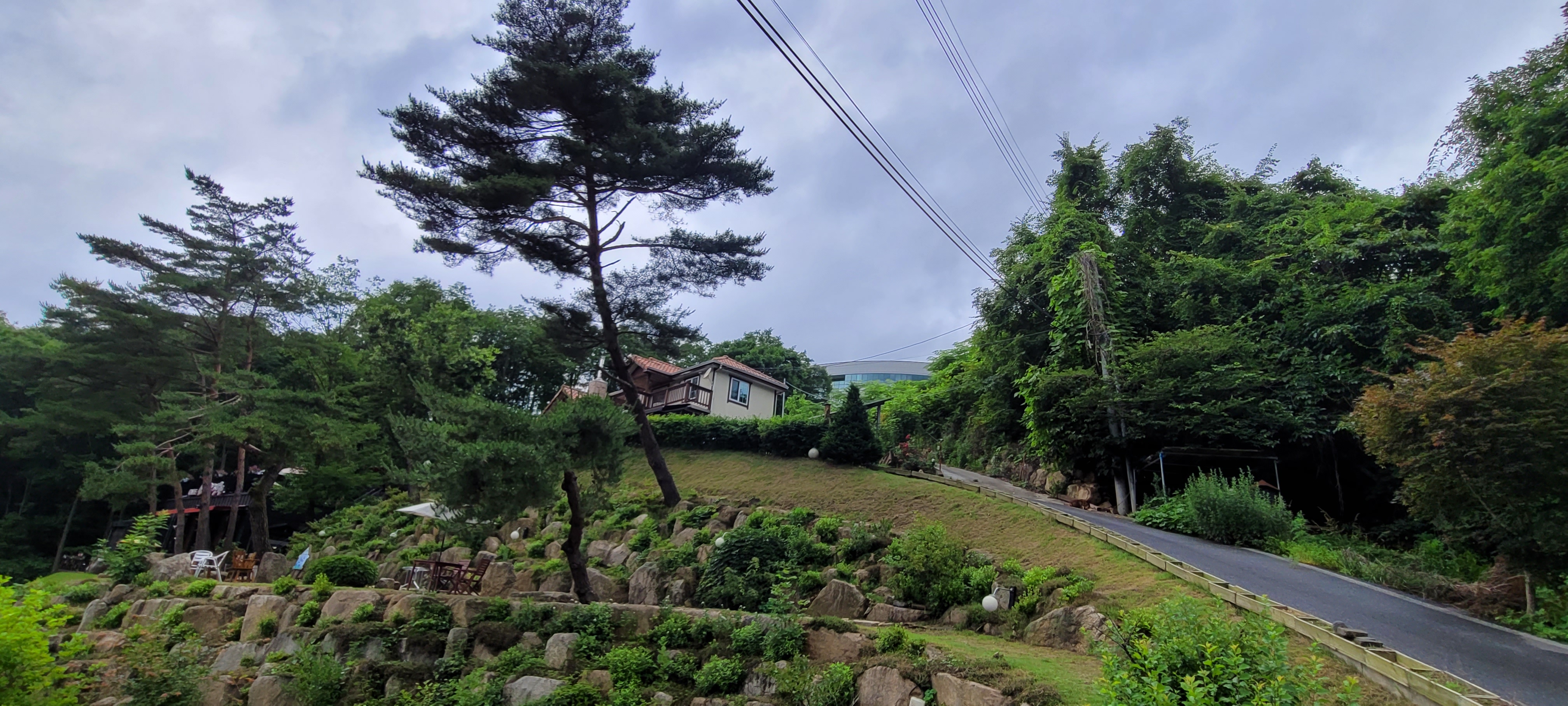 소나무정원화덕피자 이미지