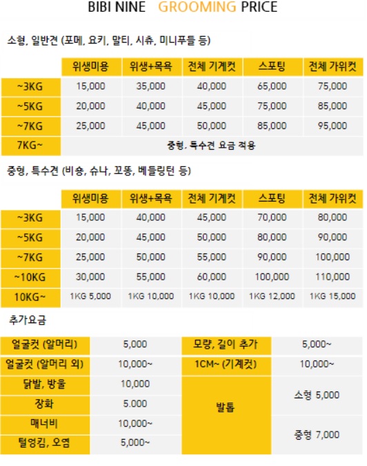 비비나인
