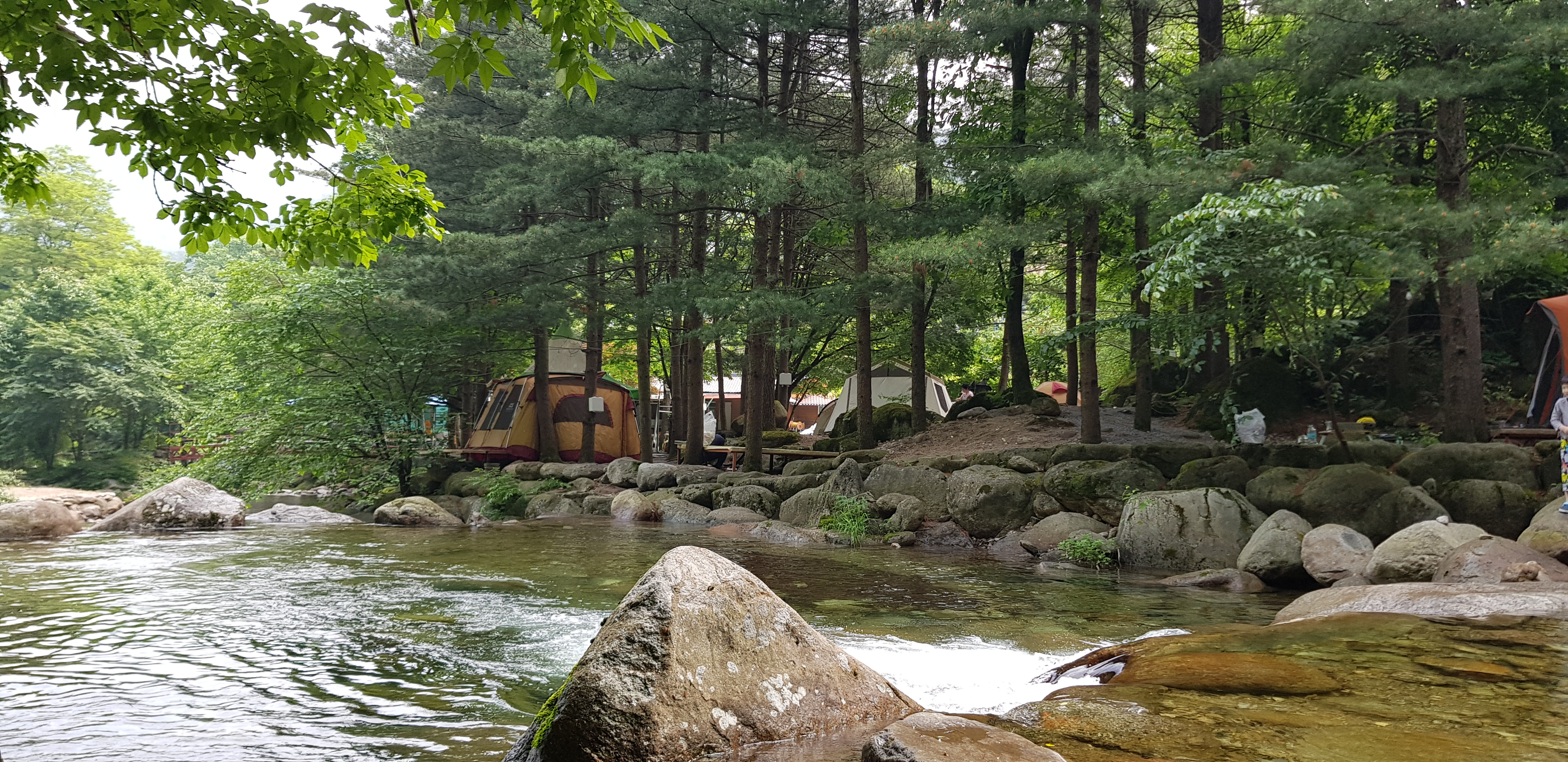 단양천동계곡캠핑장 그린농원 이미지