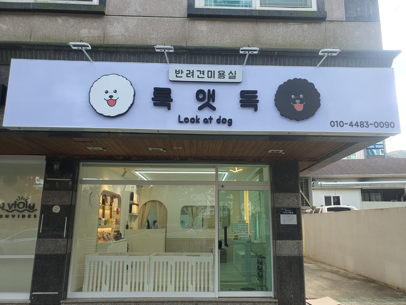 룩앳독