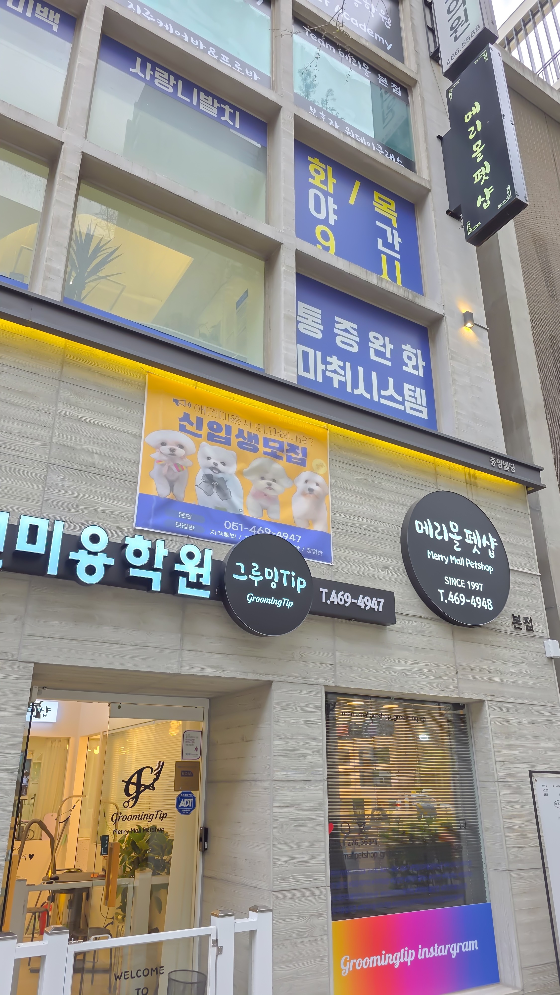 메리몰펫샵