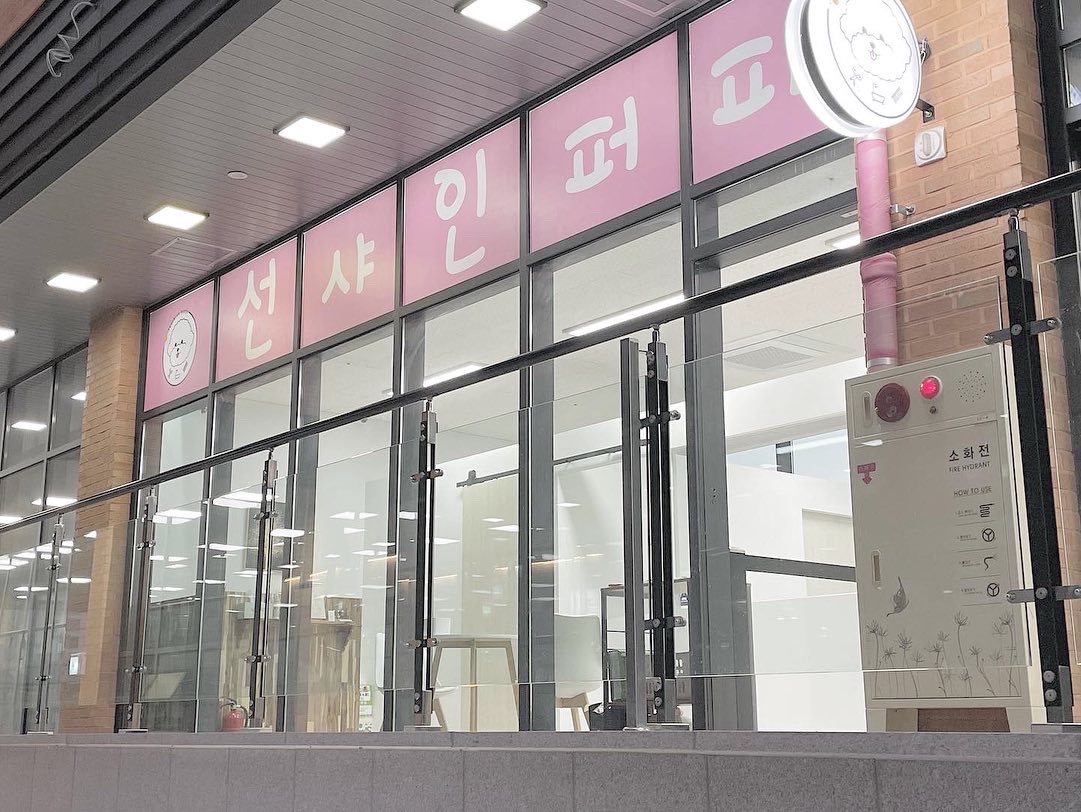 선샤인퍼피