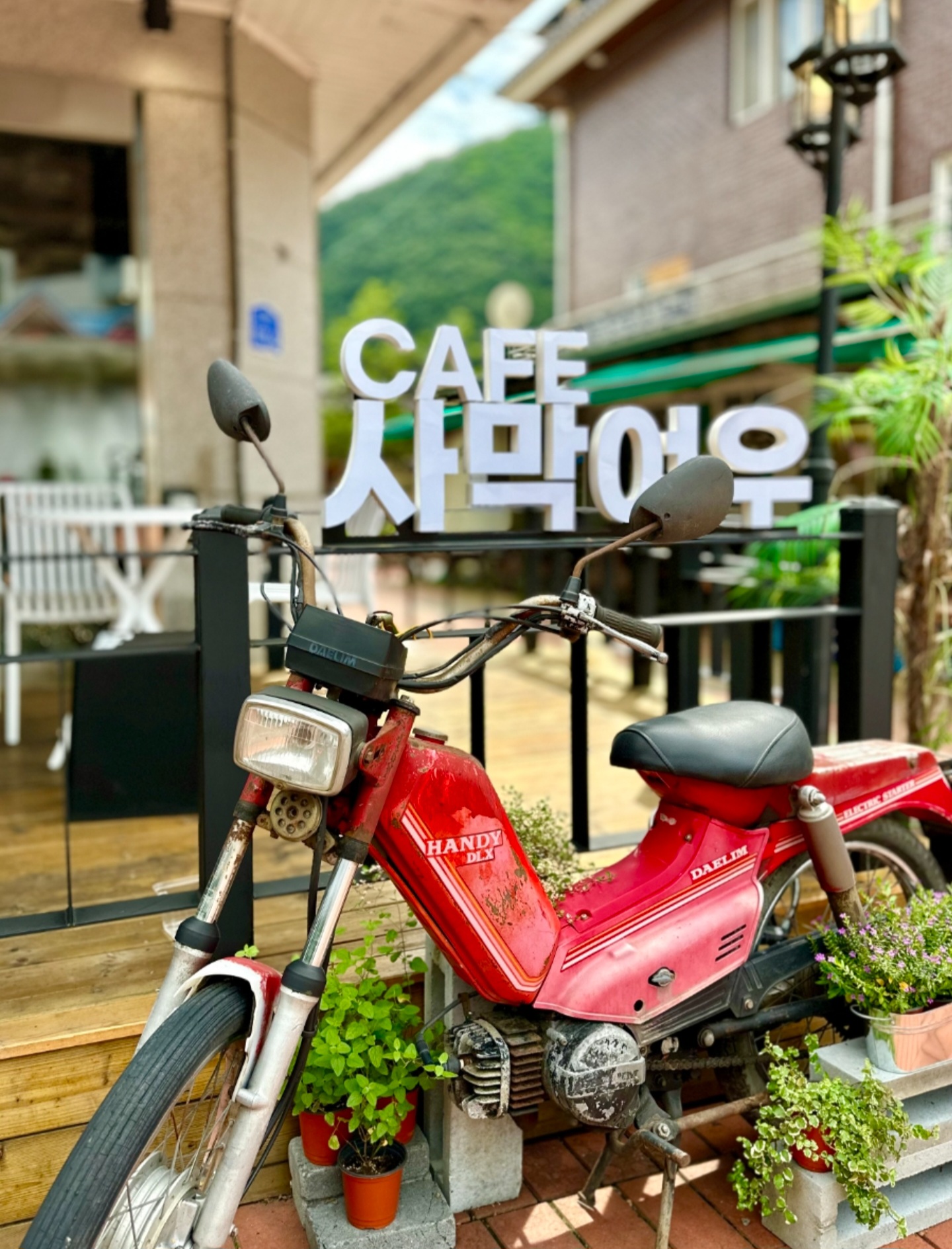 사막여우 로스터리카페 이미지