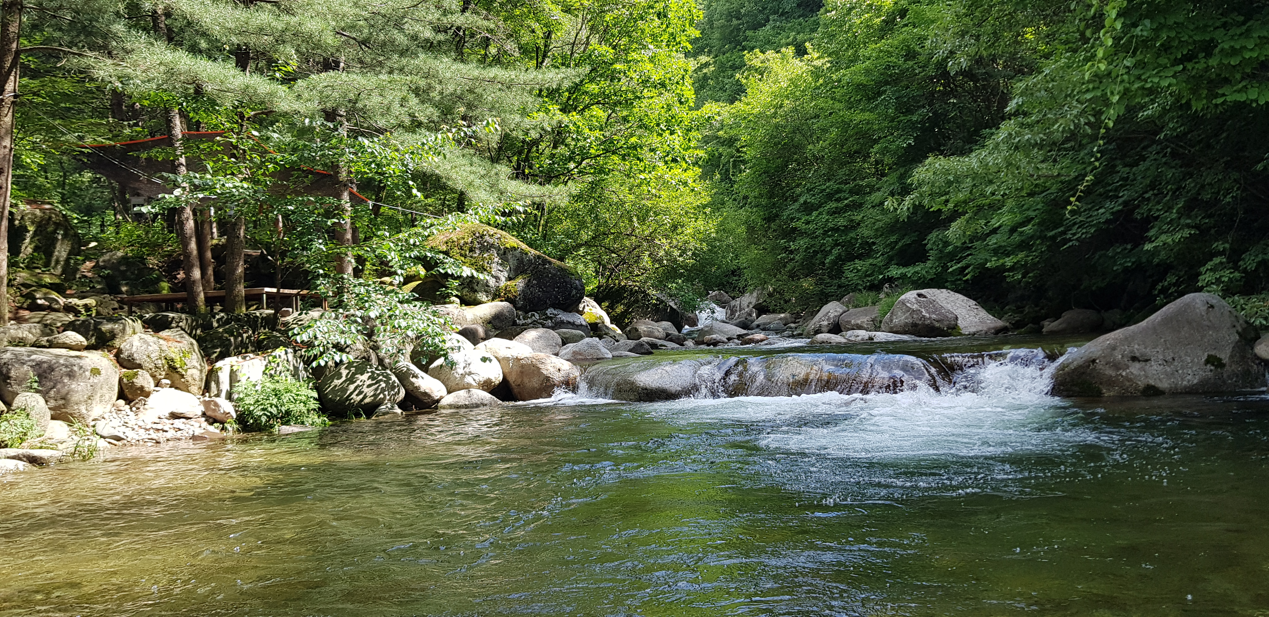 단양천동계곡캠핑장 그린농원 이미지