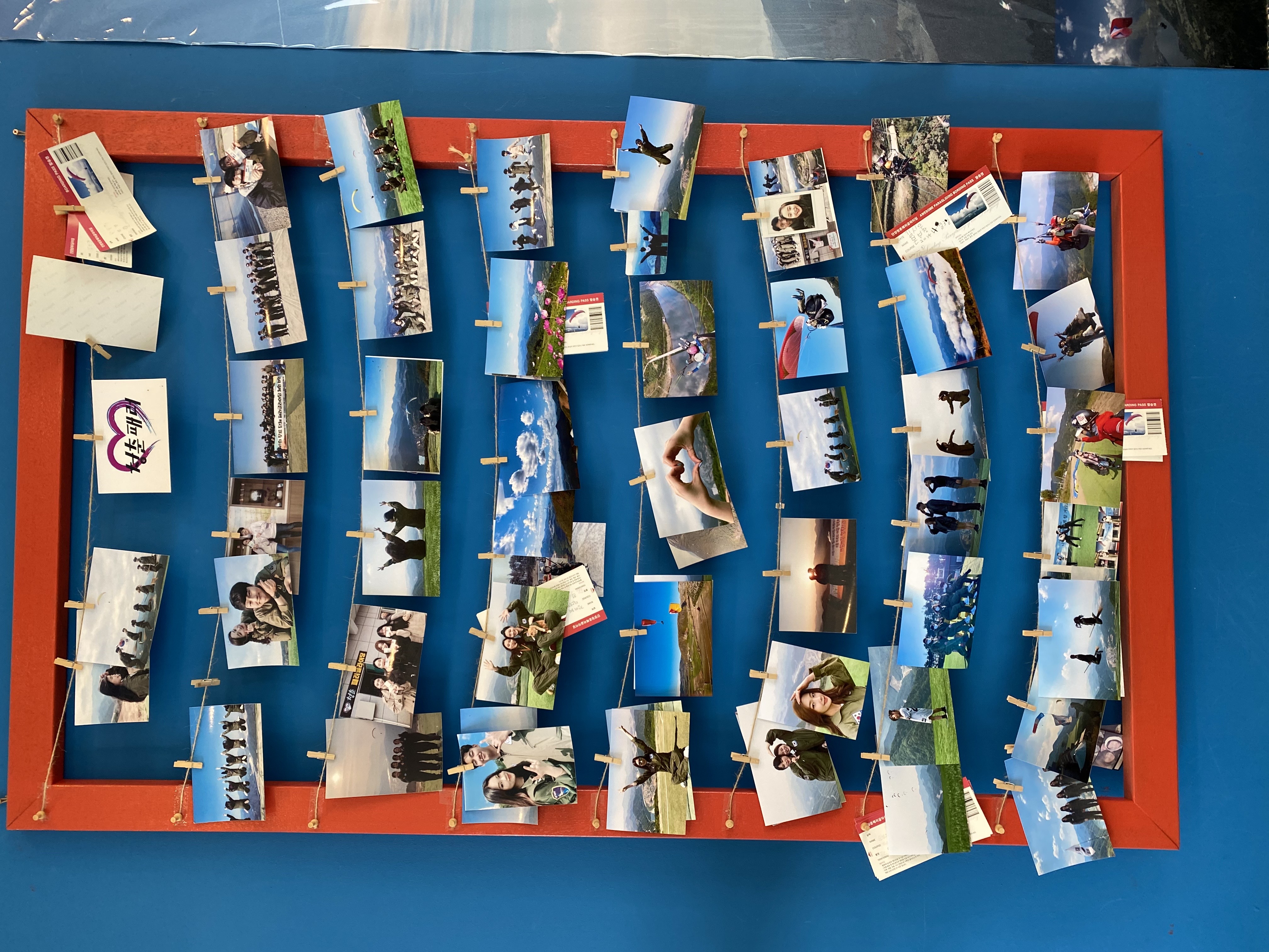 단양청춘패러 이미지