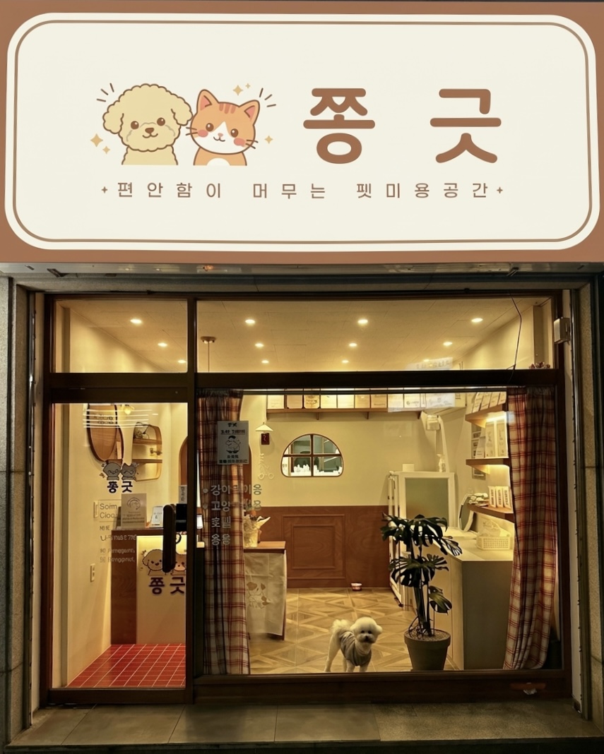 쫑긋