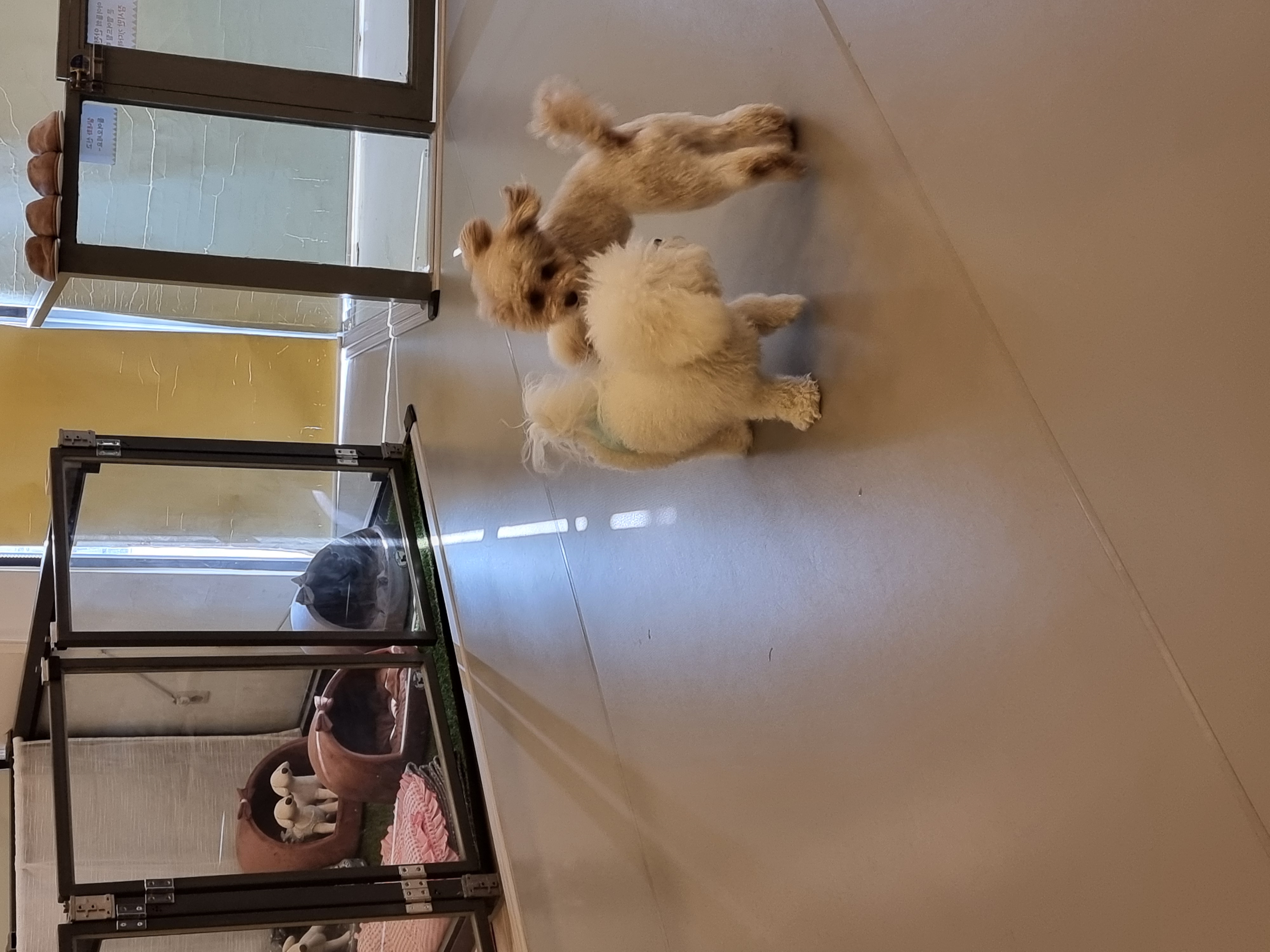 러브펫하우스