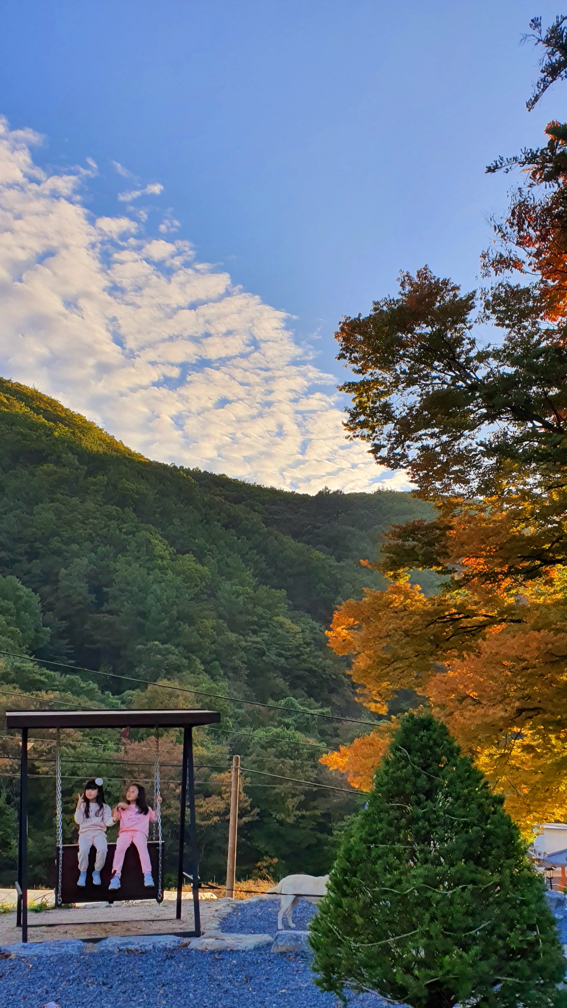 더 트리 홈 이미지