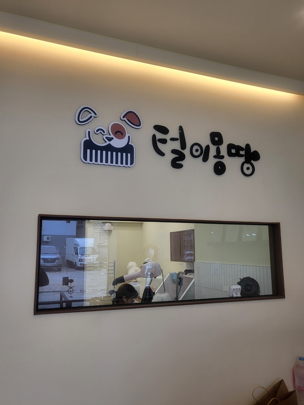 털이몽땅