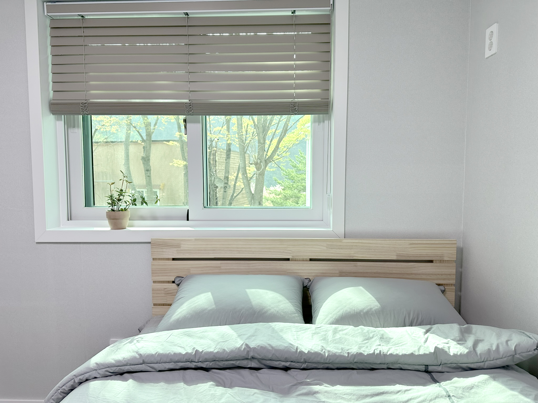 소백스테이 이미지