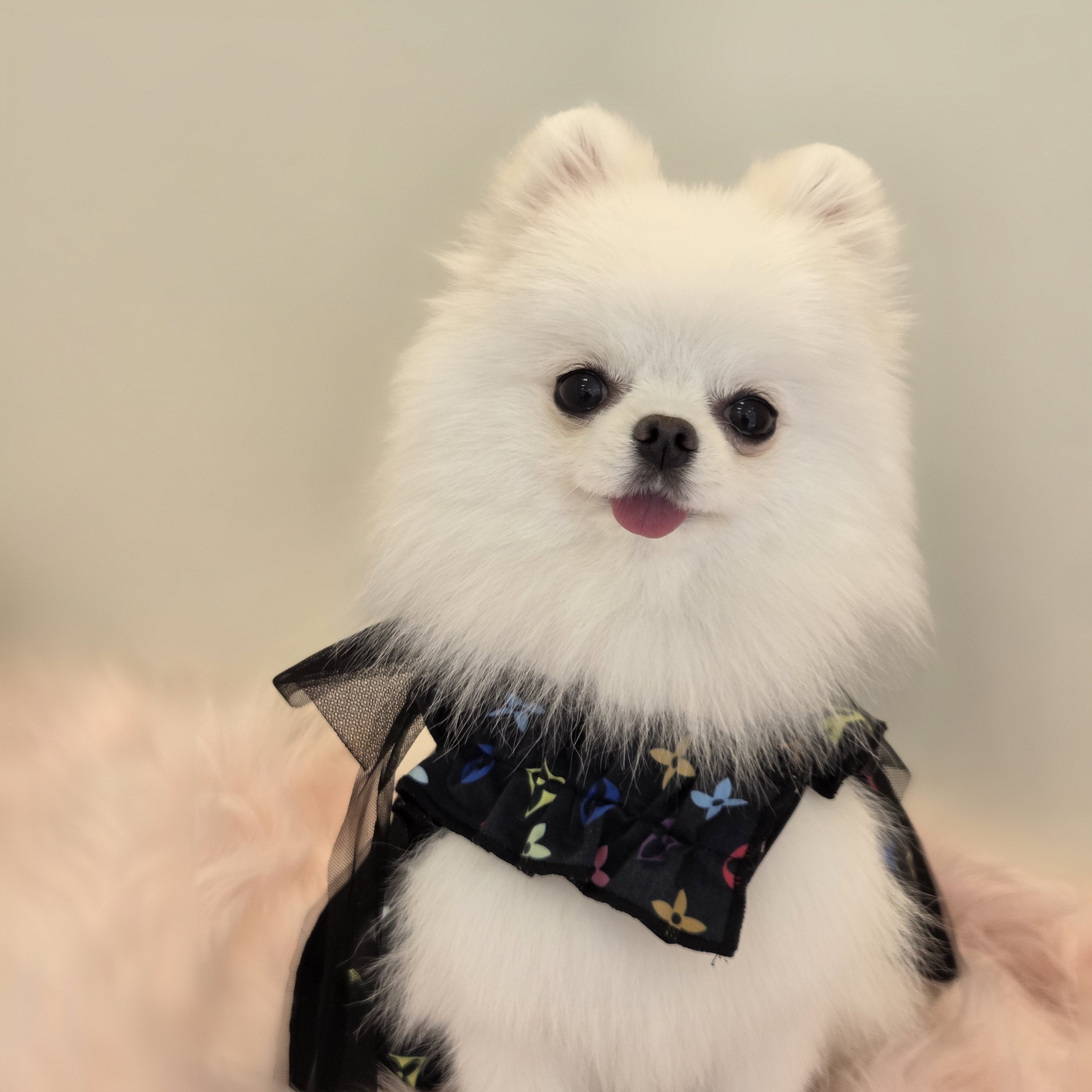 라베블룸