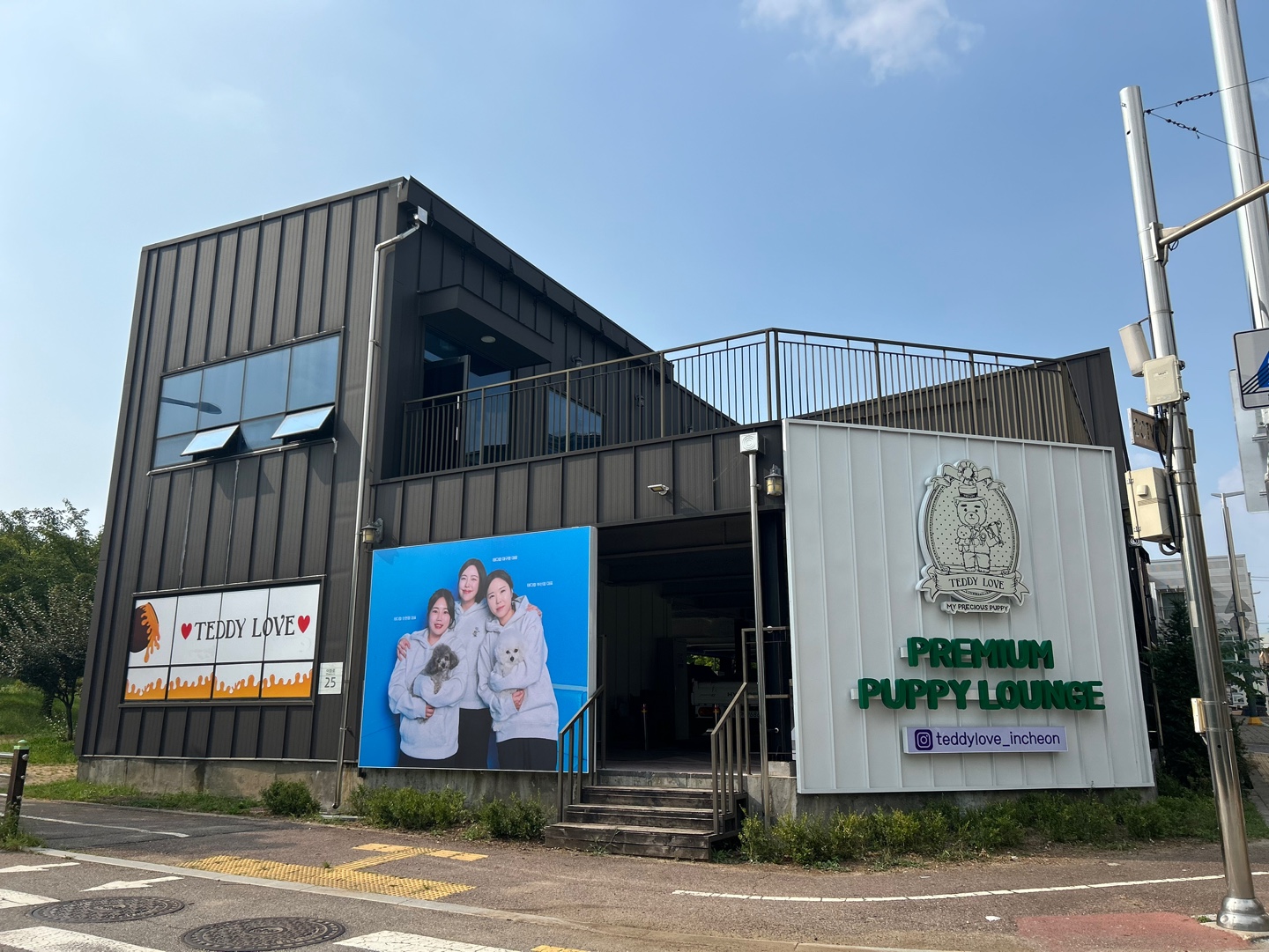인천강아지분양 고양이분양 테디럽