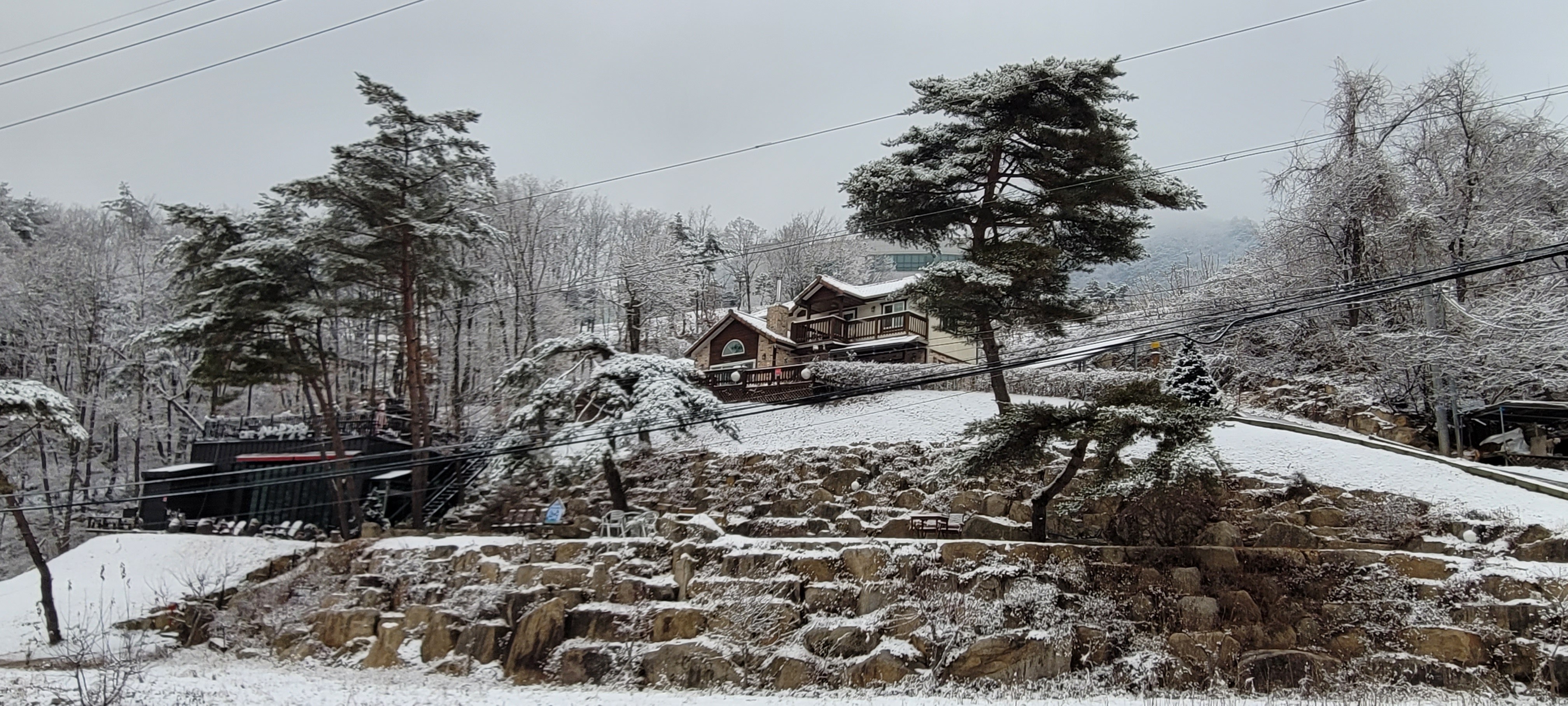 소나무정원화덕피자 이미지