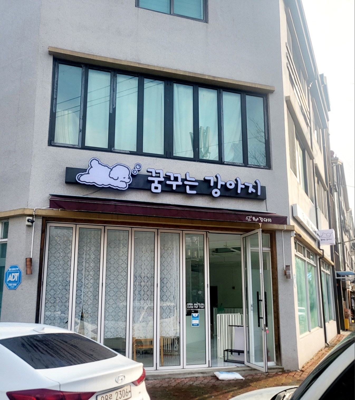 꿈꾸는강아지